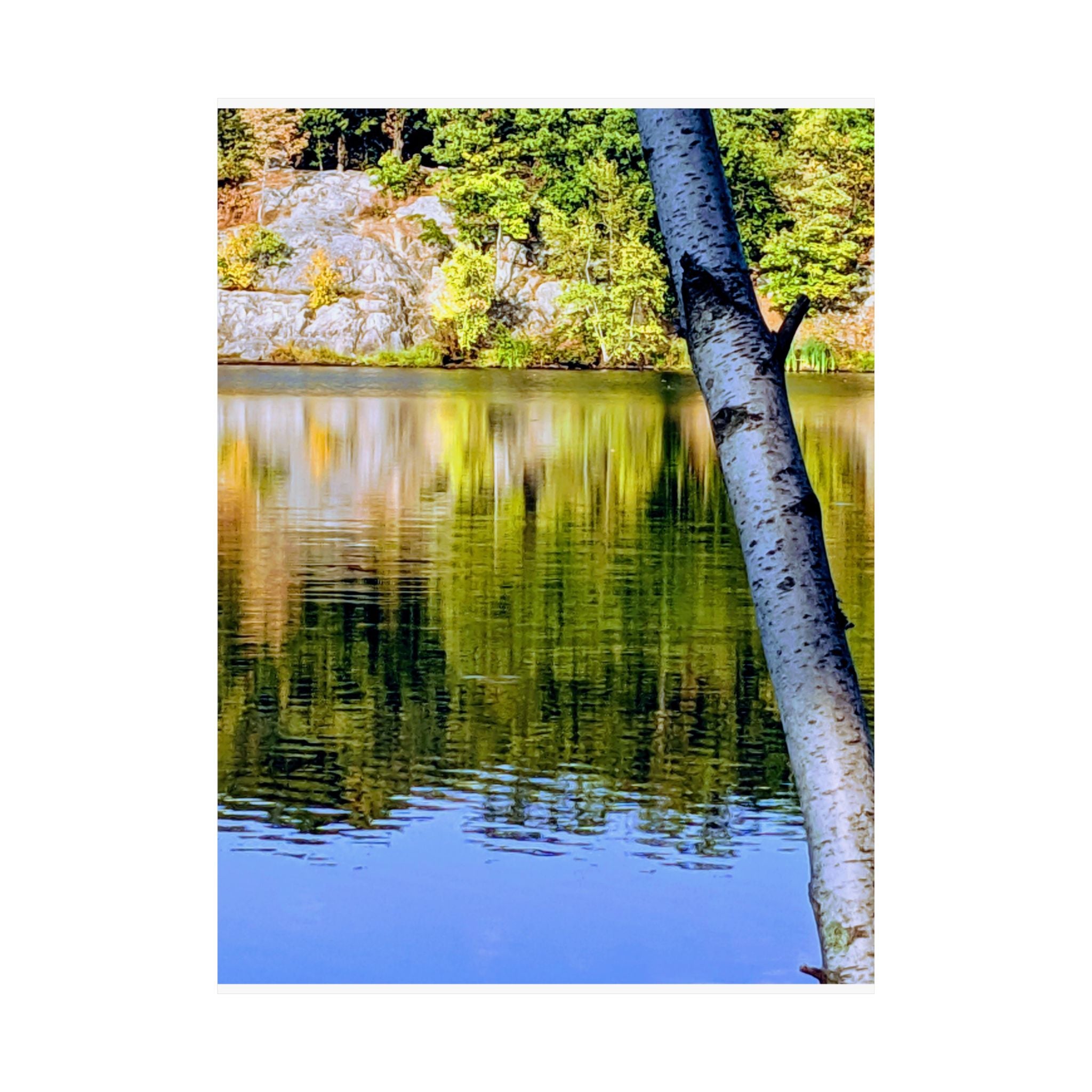 Birch Lake Reflection Matte Poster — Vertical Nature Wall Art