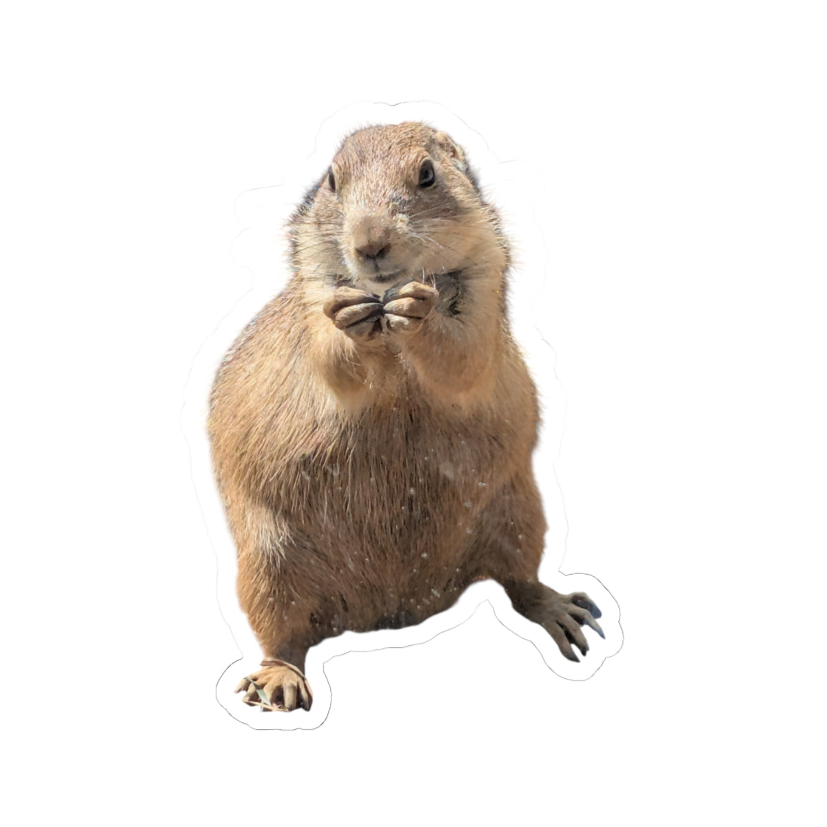 Prairie Dog Kiss-Cut Sticker — Cute Wildlife Laptop Decal