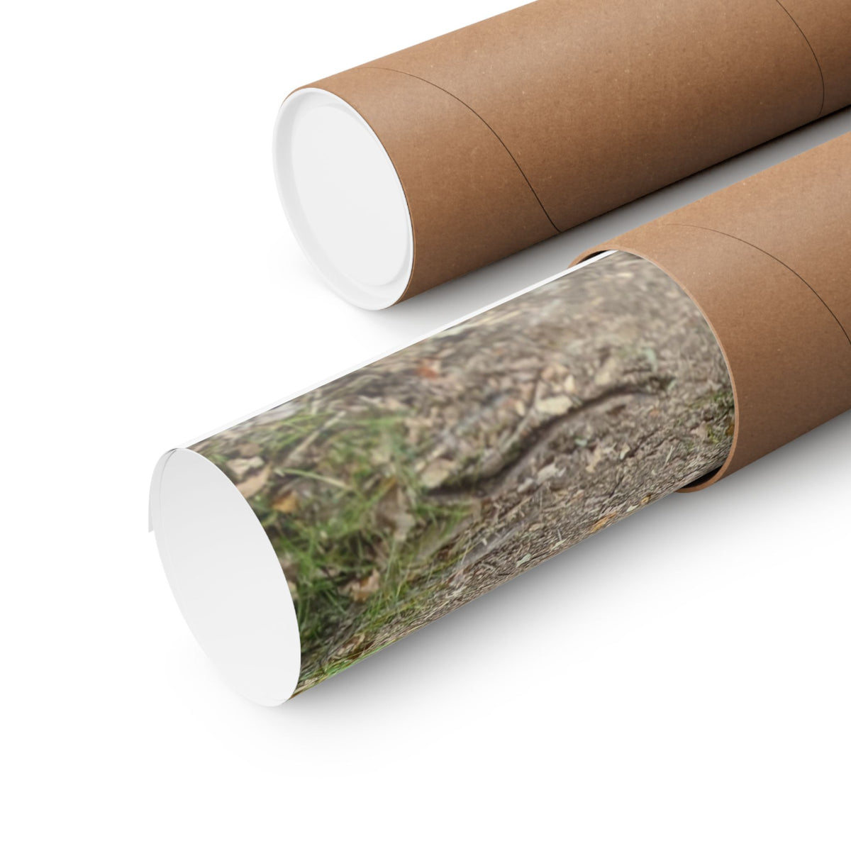 Forest Trail Matte Poster — Green Woodland Nature Photography Wall Art, Hiking Trail Print, 46 Sizes