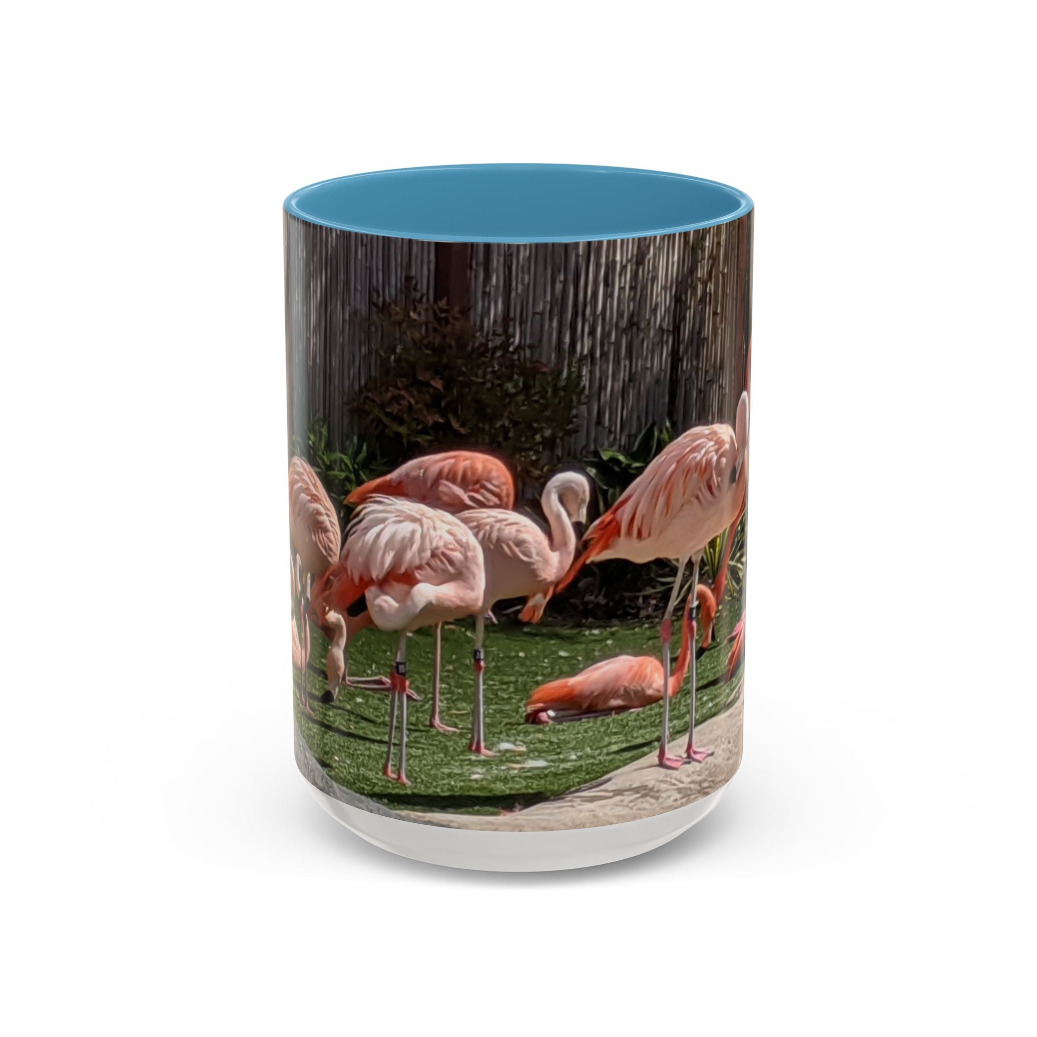 Flamingo Flock Accent Coffee Mug — Tropical Pink Bird Photo (11/15 oz)