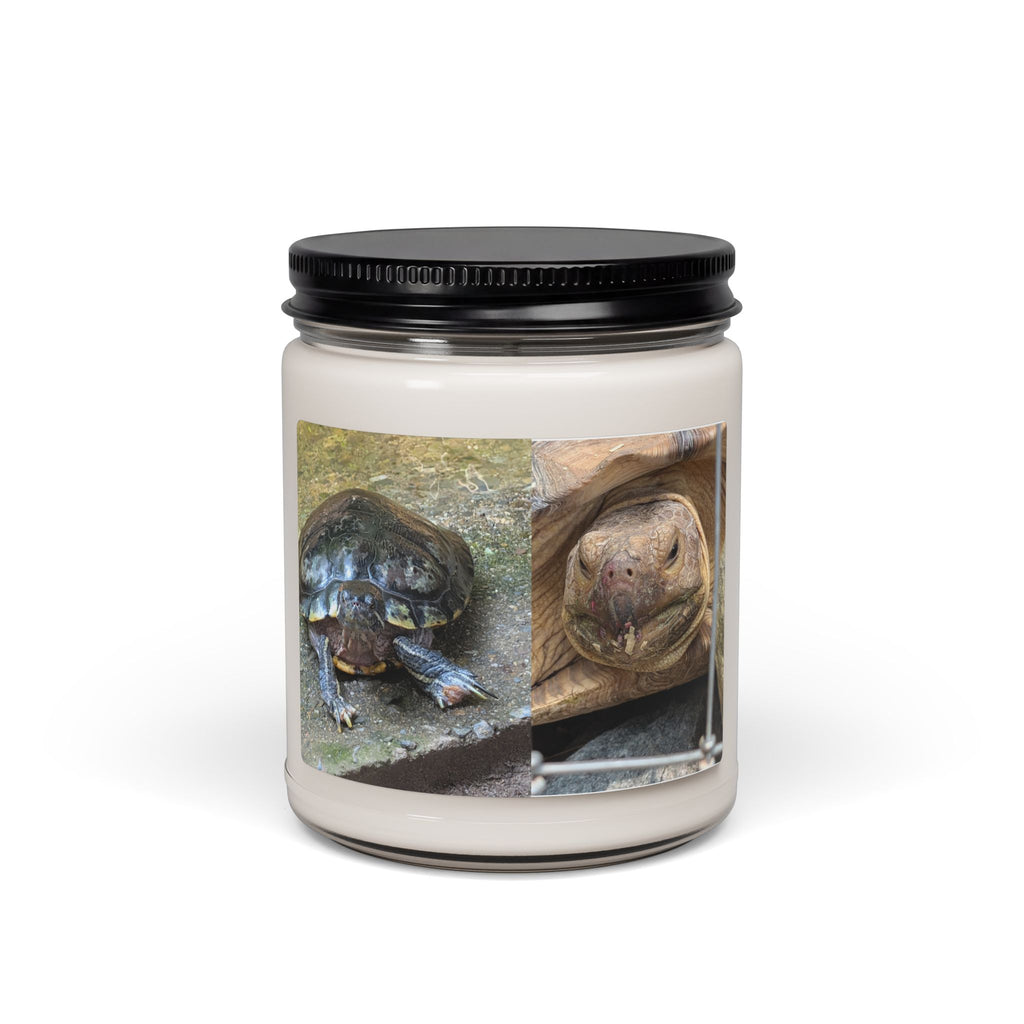 Turtle Photo Scented Soy Candle — Cute Tortoise Wildlife Photo, 9oz Hand-Poured Jar Candle, Turtle Lover Gift