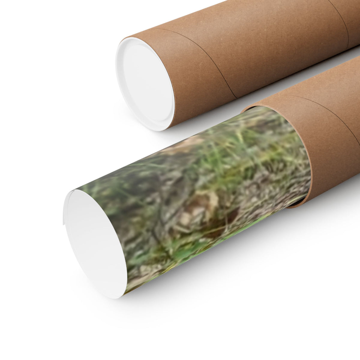 Forest Trail Matte Poster — Green Woodland Nature Photography Wall Art, Hiking Trail Print, 46 Sizes