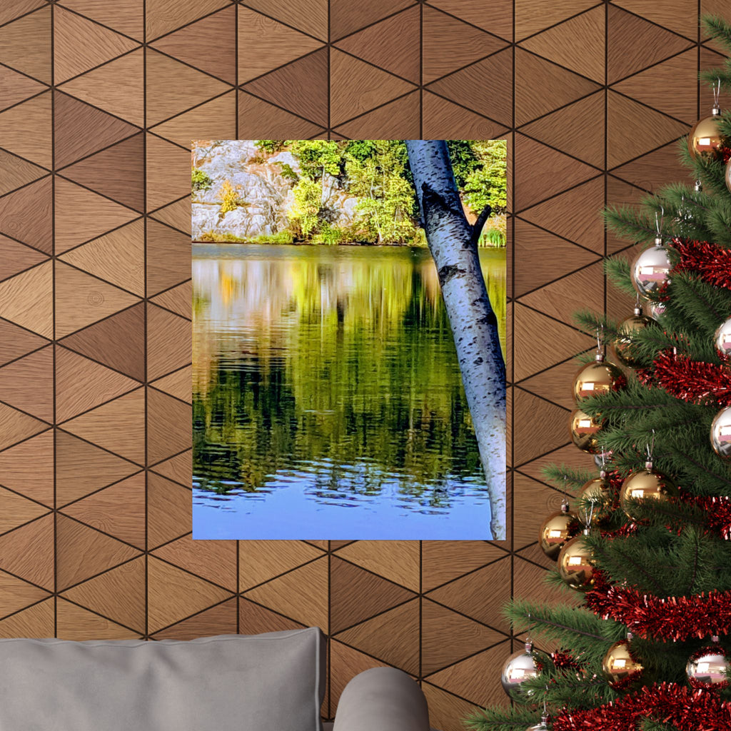 Birch Lake Reflection Matte Poster — Nature Photography Wall Art, Woodland Landscape Print, 46 Sizes