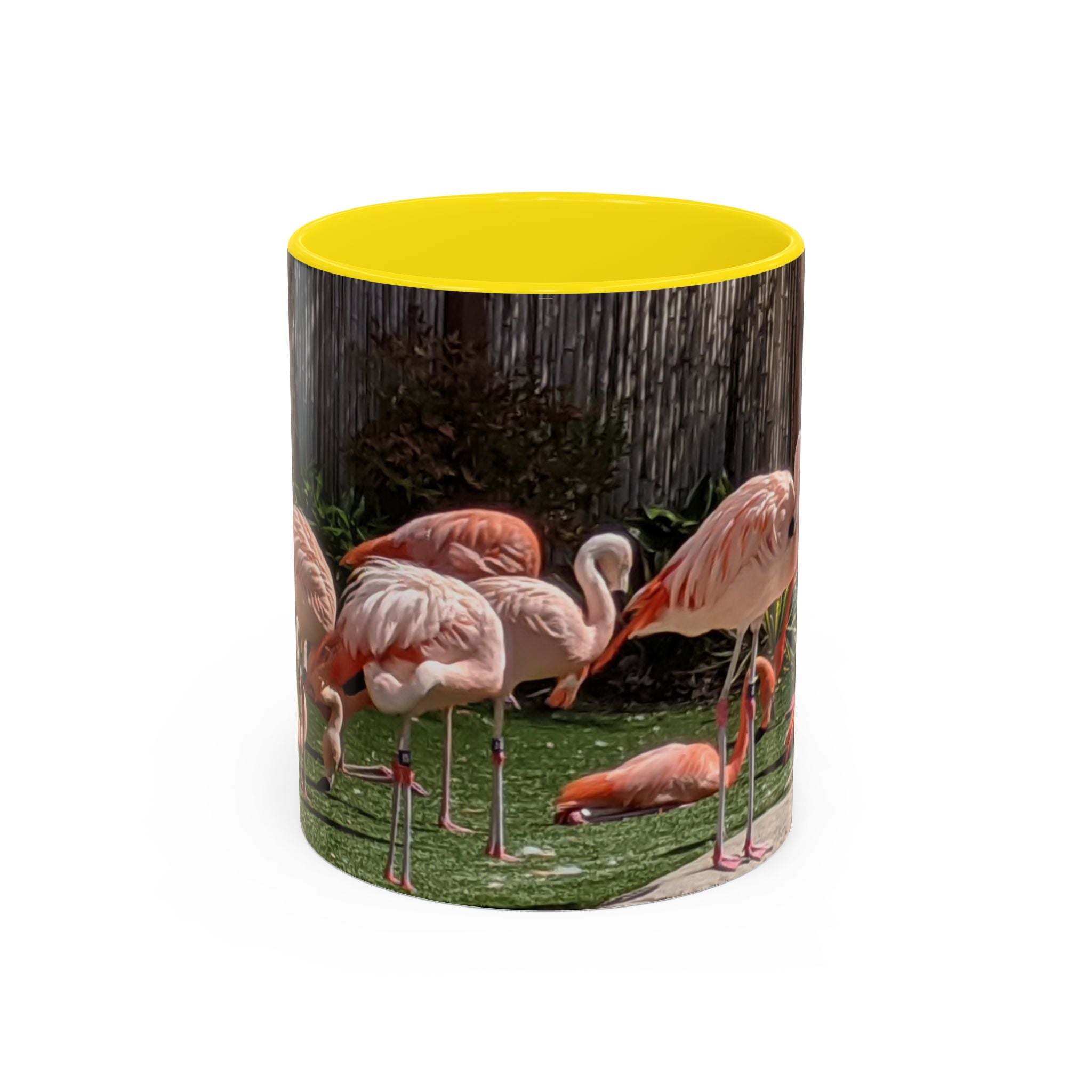 Flamingo Flock Accent Coffee Mug — Tropical Pink Bird Photo (11/15 oz)
