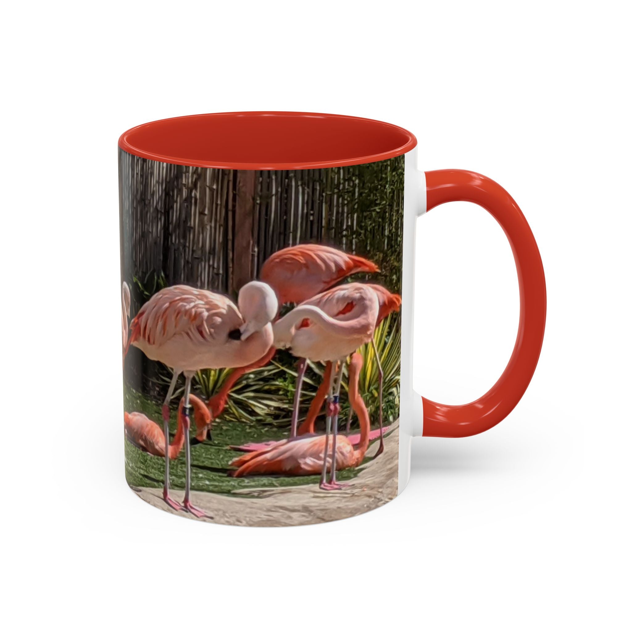 Flamingo Flock Accent Coffee Mug — Tropical Pink Bird Photo (11/15 oz)