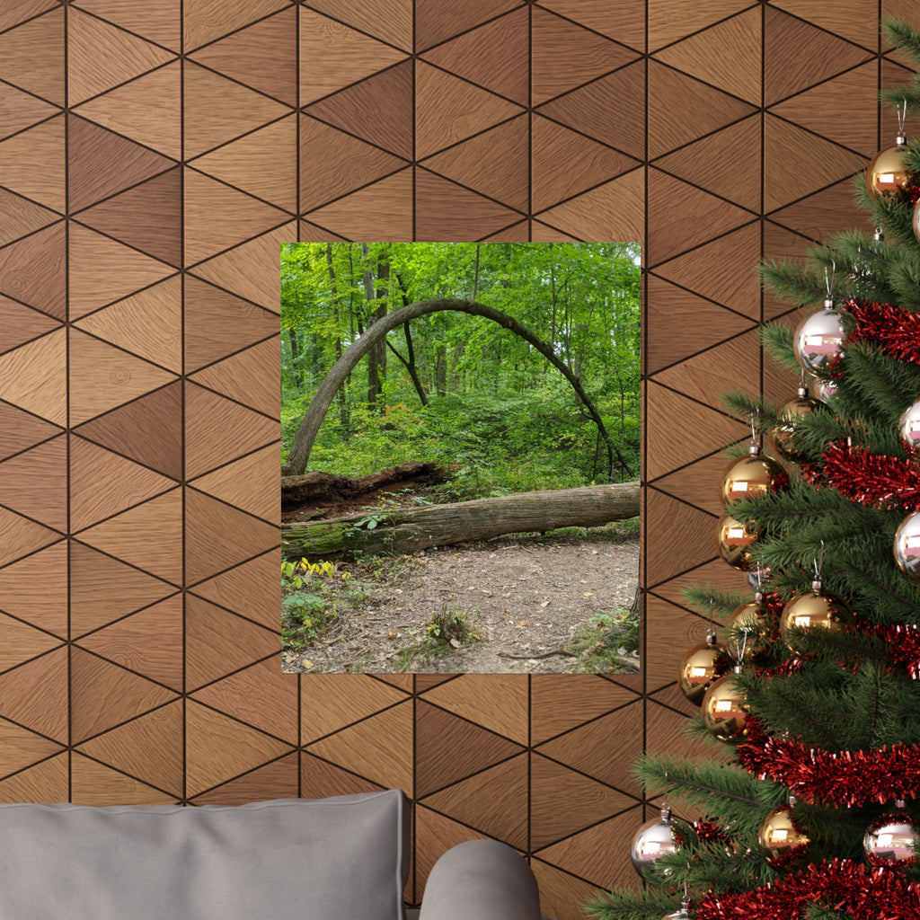 Forest Trail Matte Poster — Green Woodland Nature Photography