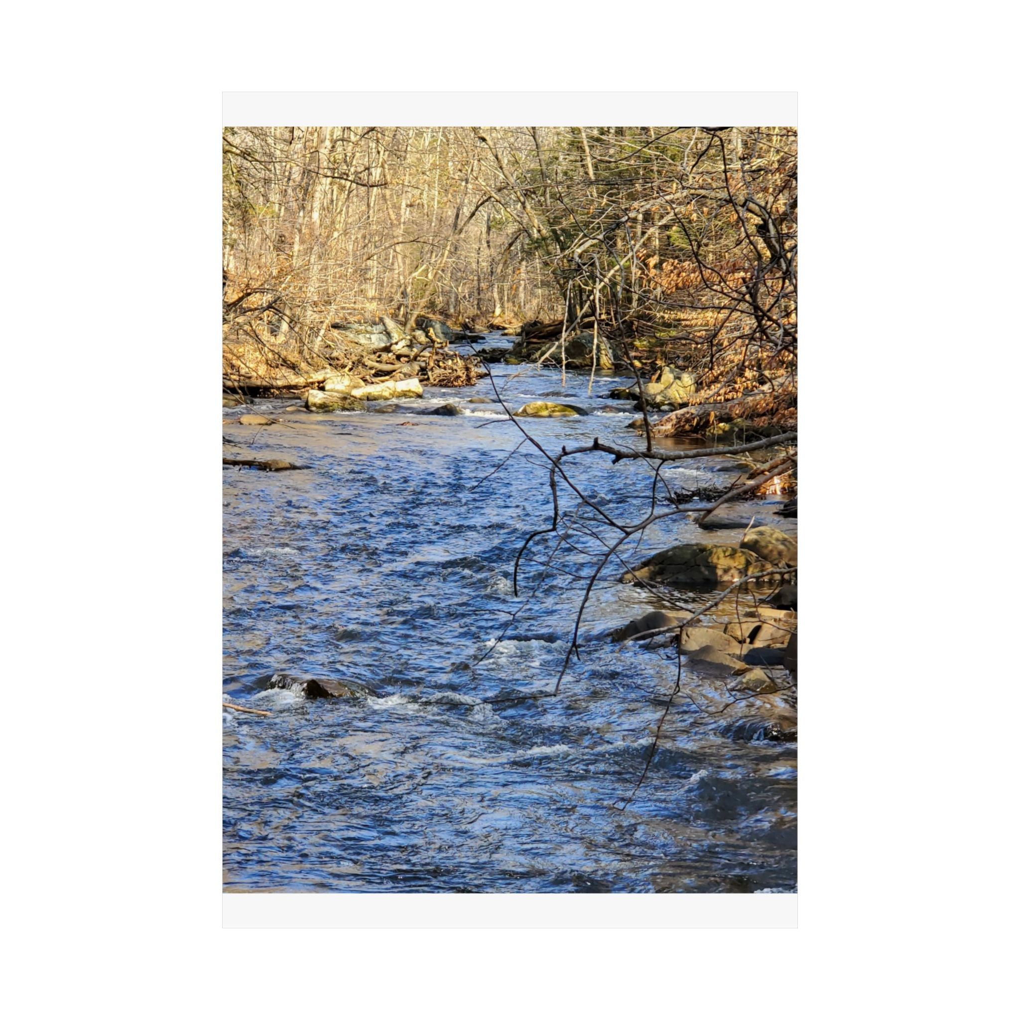 River Stream Nature Poster — Matte Vertical Wall Art for Home & Cabin Décor