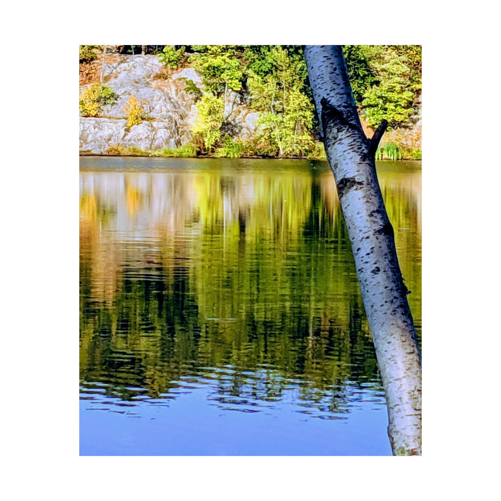 Birch Lake Reflection Matte Poster — Vertical Nature Wall Art