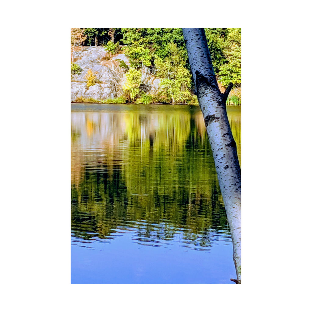 Birch Lake Reflection Matte Poster — Nature Photography Wall Art, Woodland Landscape Print, 46 Sizes