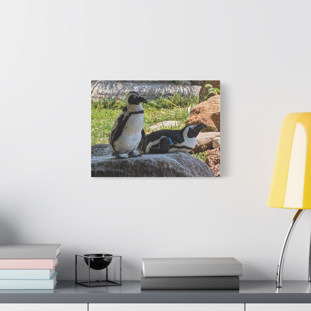 Penguin Pair Matte Canvas Print (Stretched 1.25")