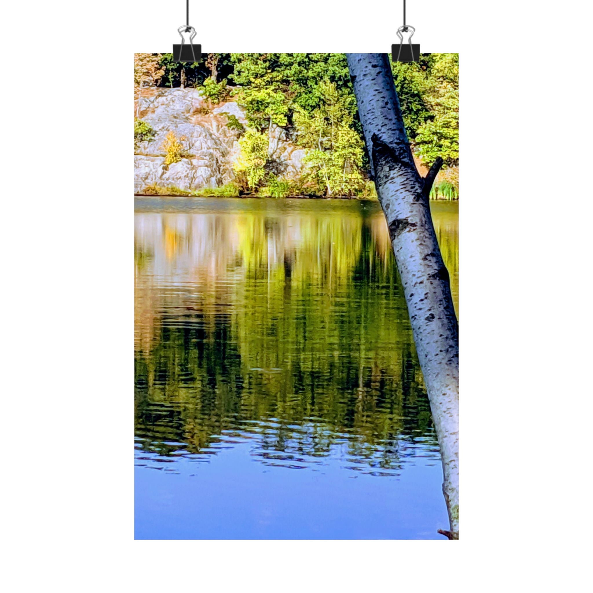 Birch Lake Reflection Matte Poster — Vertical Nature Wall Art