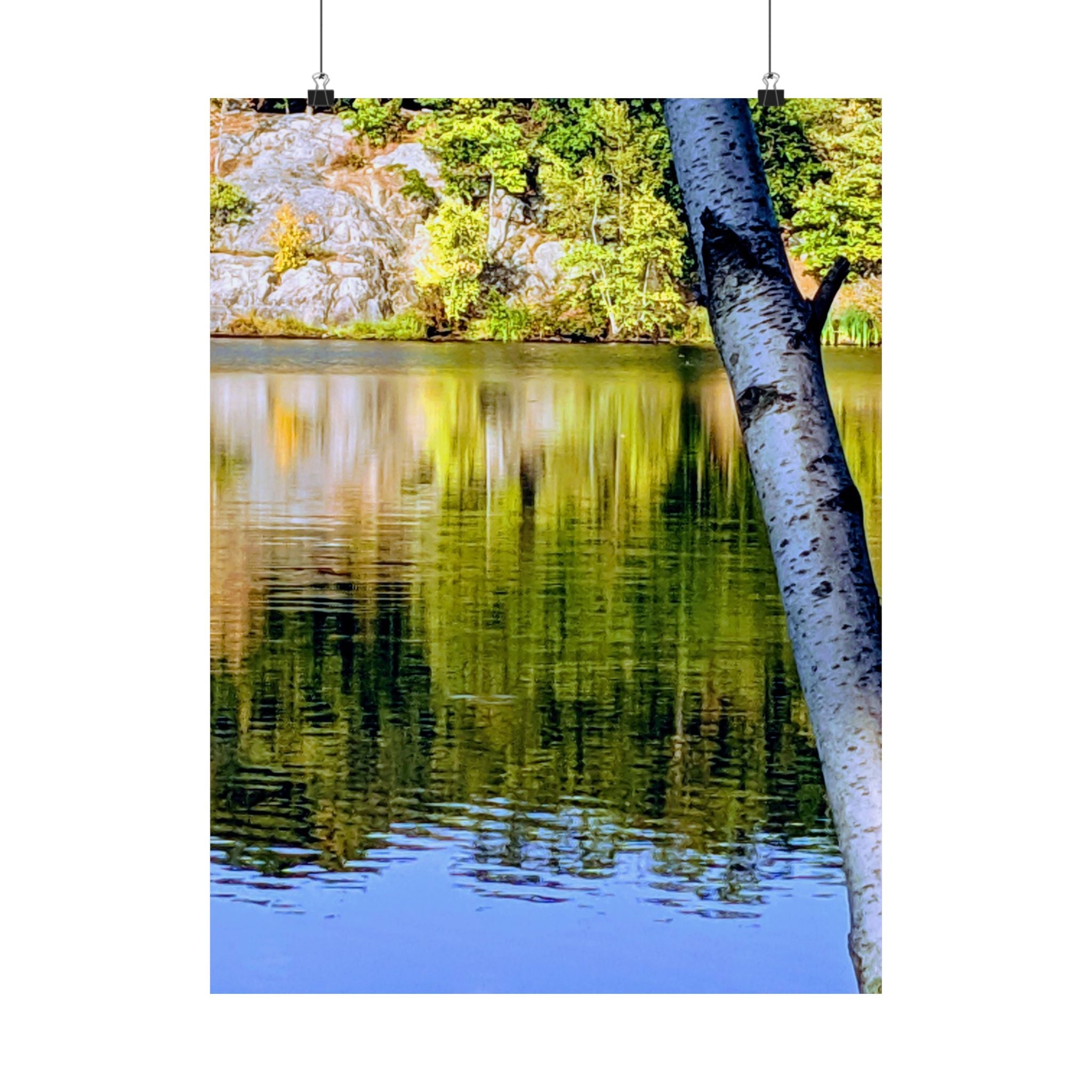 Birch Lake Reflection Matte Poster — Vertical Nature Wall Art