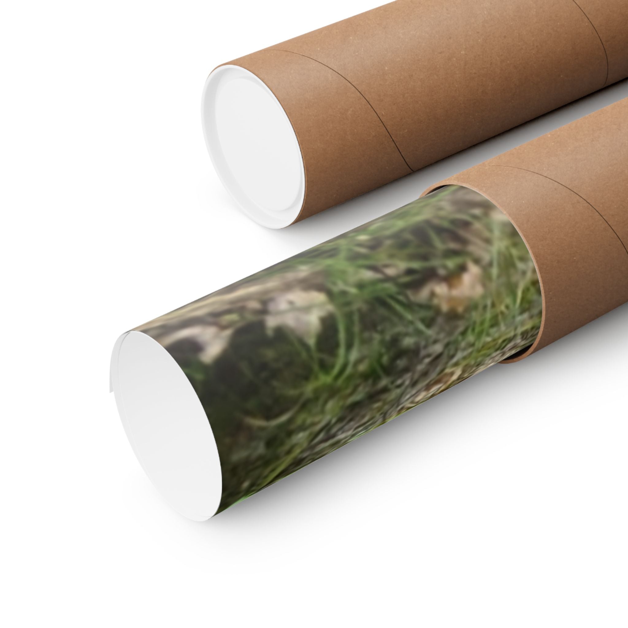 Forest Trail Matte Poster — Green Woodland Nature Photography