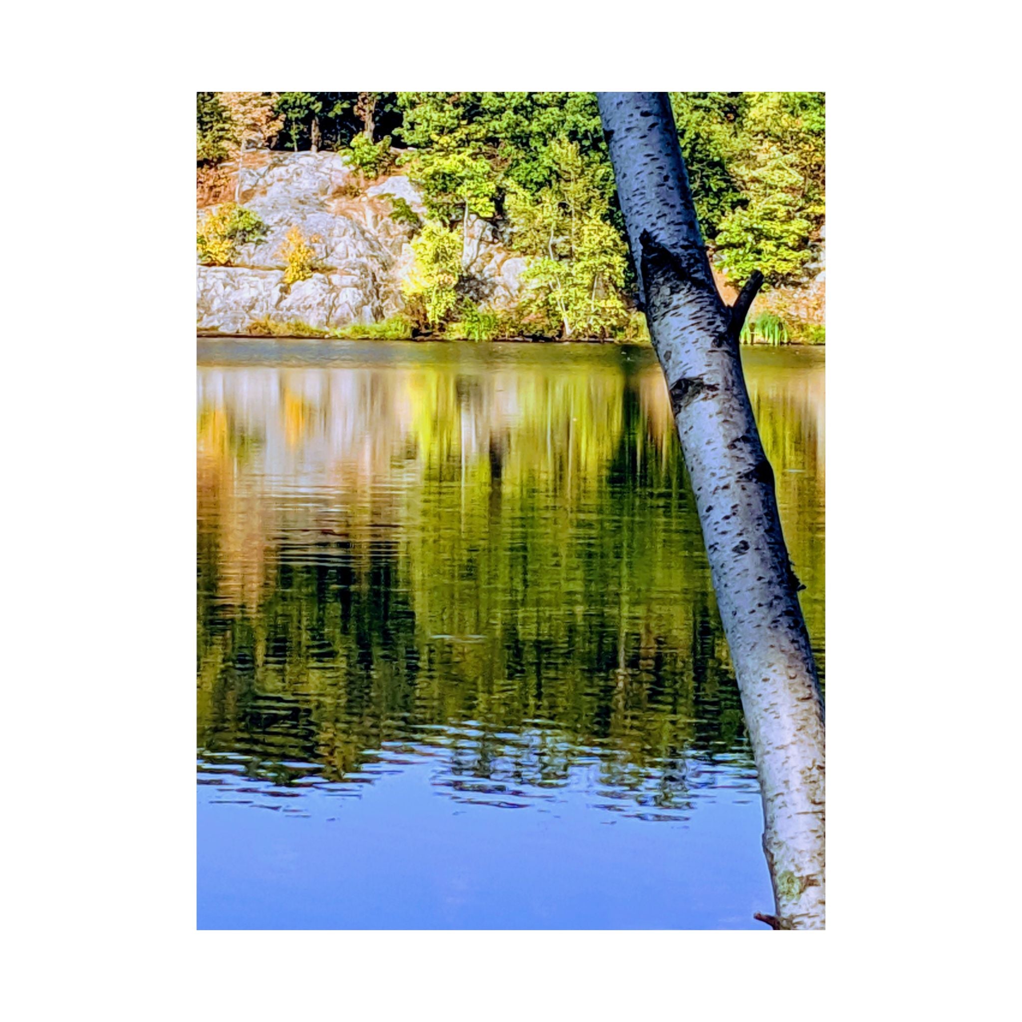 Birch Lake Reflection Matte Poster — Vertical Nature Wall Art
