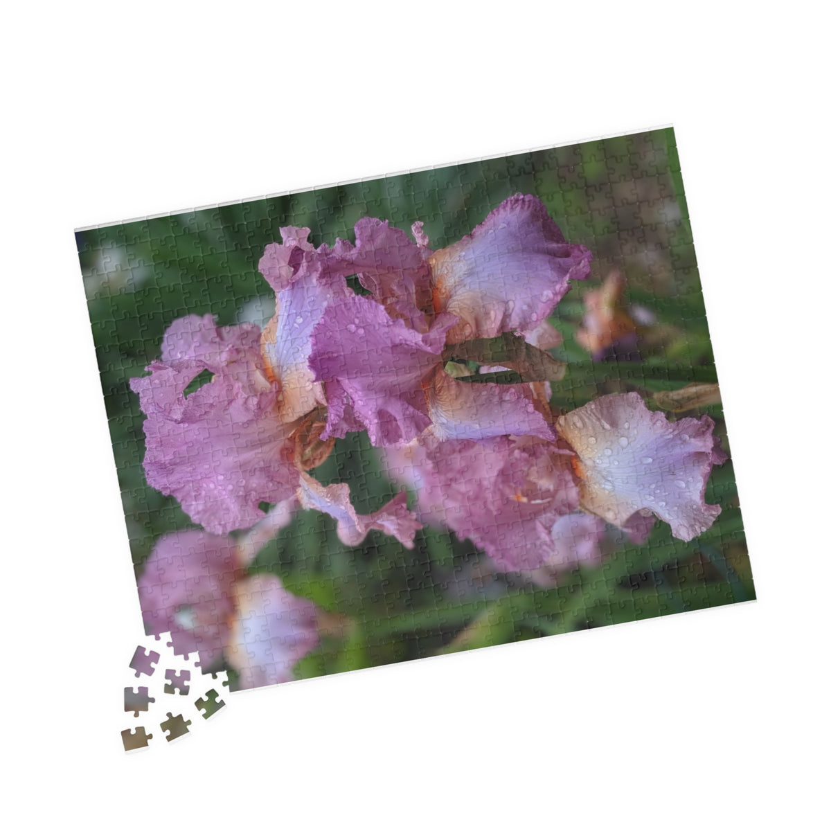 Mauve Iris Nature Photo Jigsaw Puzzle — Floral Photography Gift Set, 110, 252, 520 & 1014 Pieces