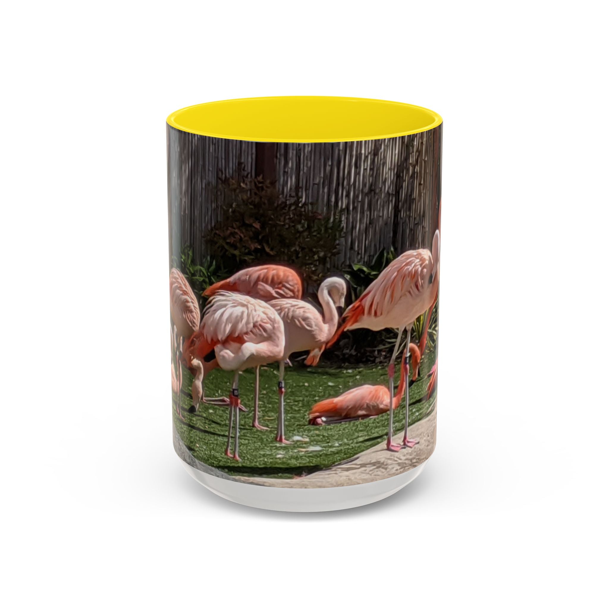 Flamingo Flock Accent Coffee Mug — Tropical Pink Bird Photo (11/15 oz)