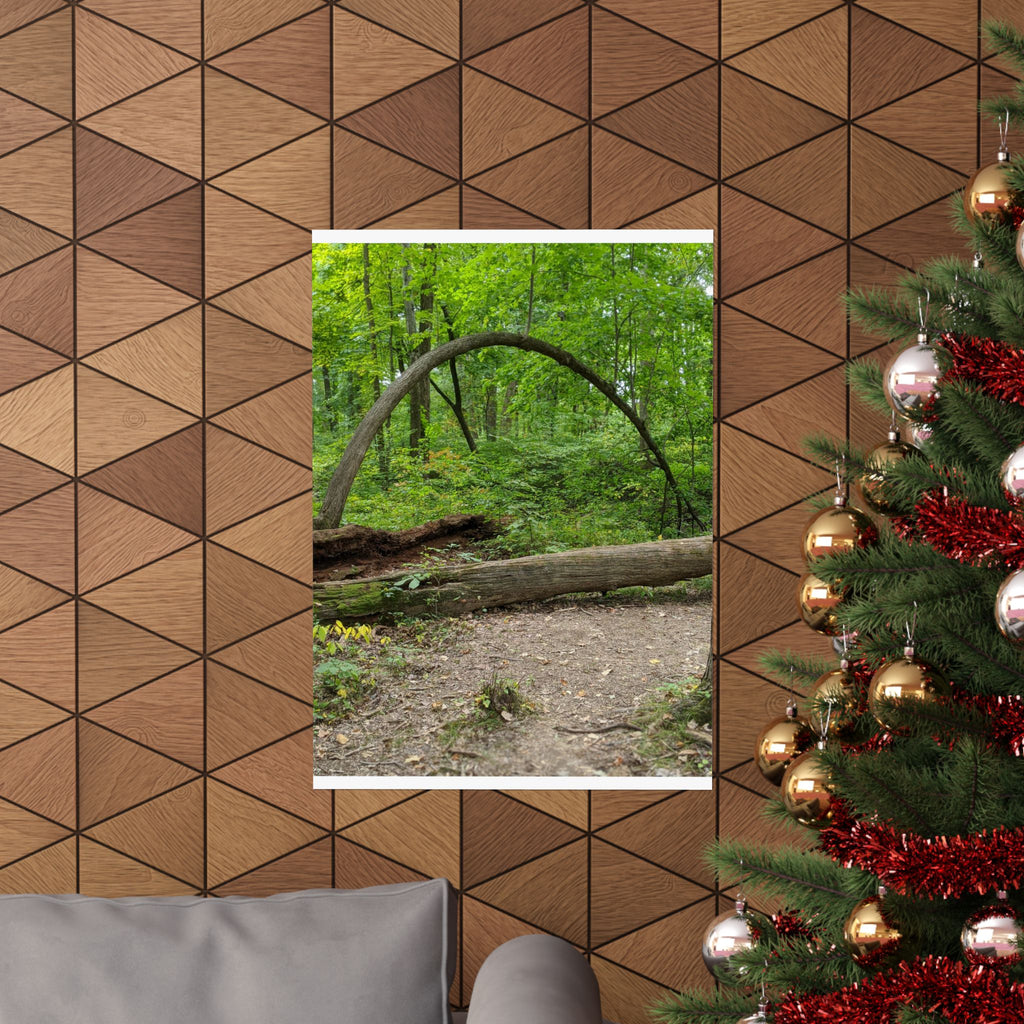 Forest Trail Matte Poster — Green Woodland Nature Photography