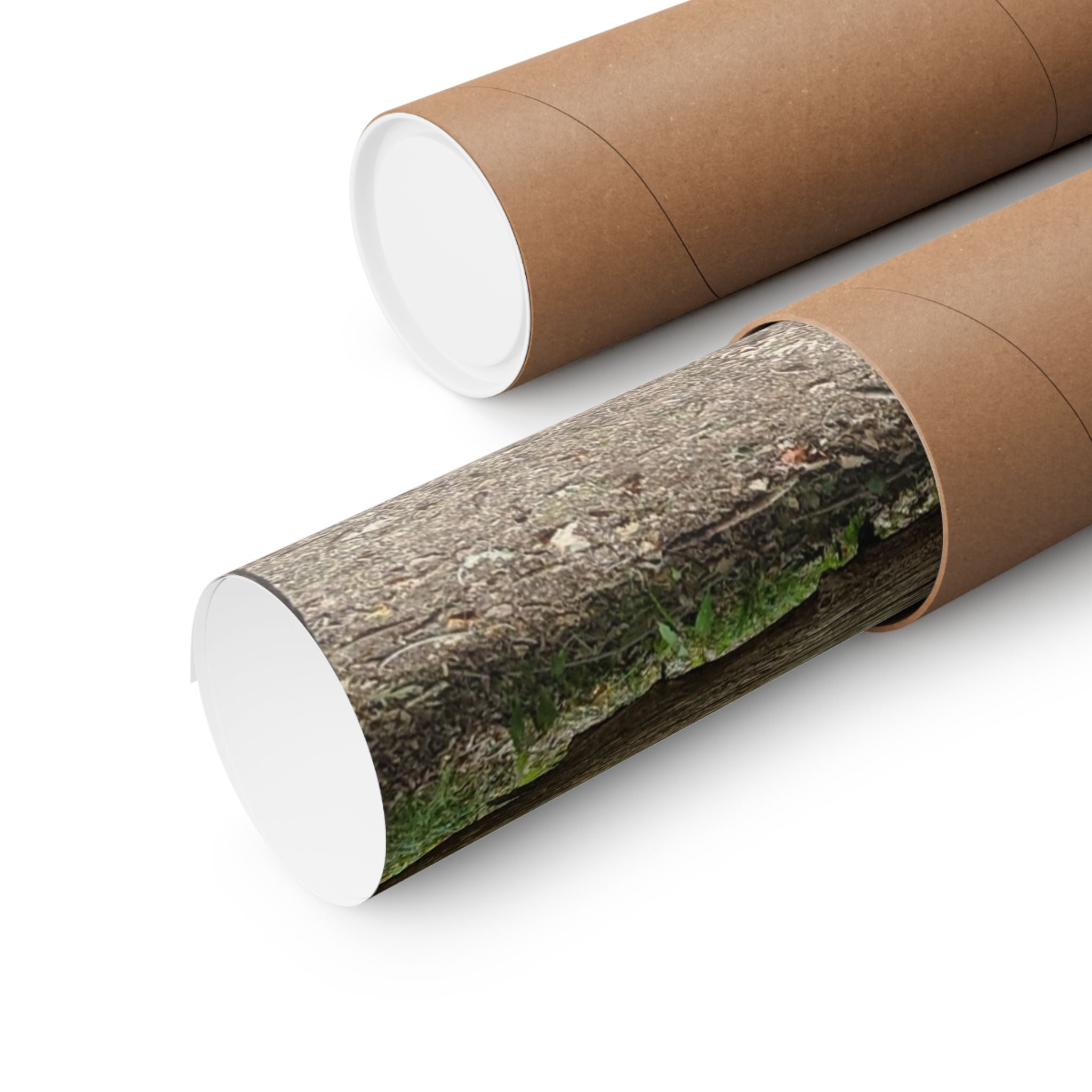 Forest Trail Matte Poster — Green Woodland Nature Photography