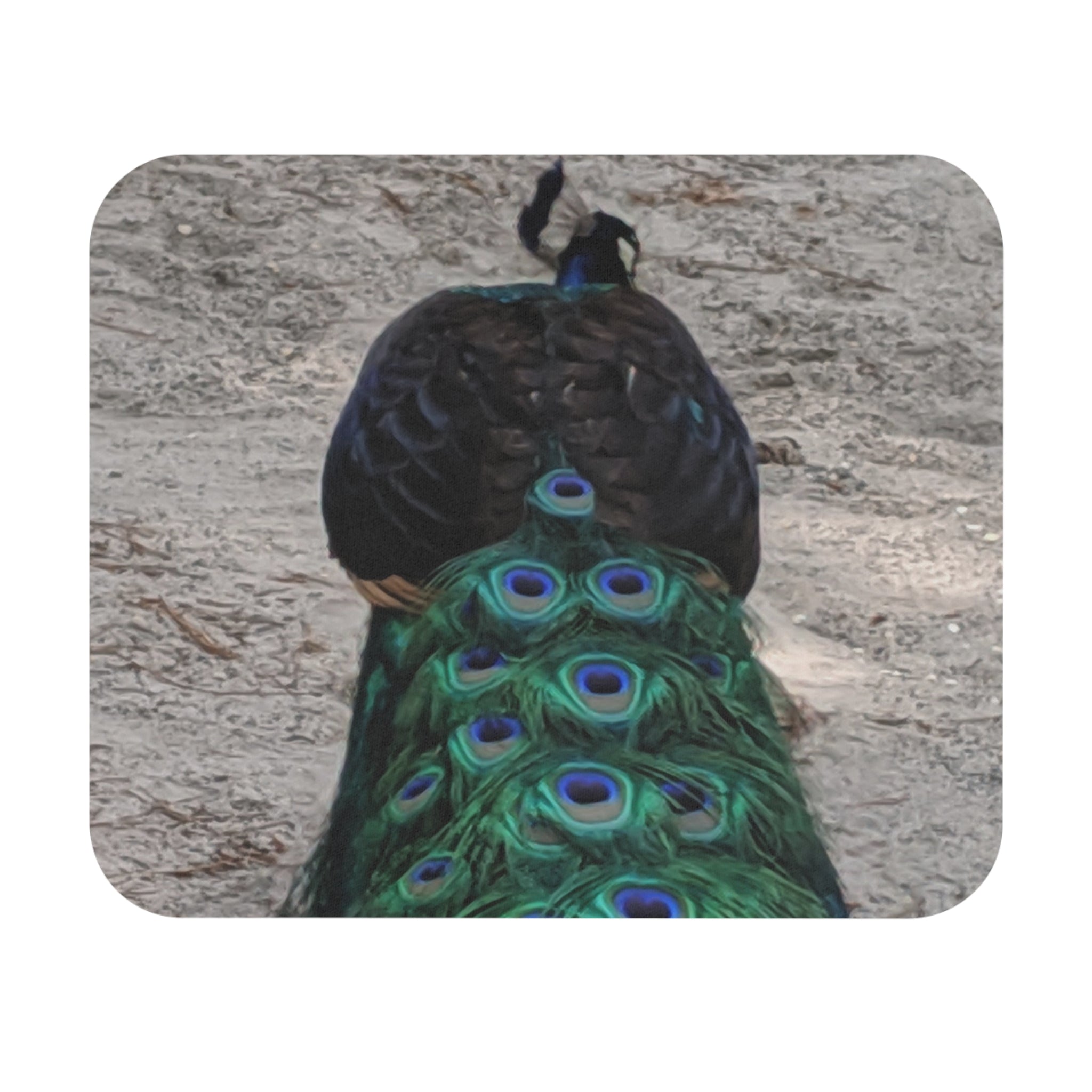Peacock Tail Mouse Pad — Vibrant Bird Feather Desk Mat