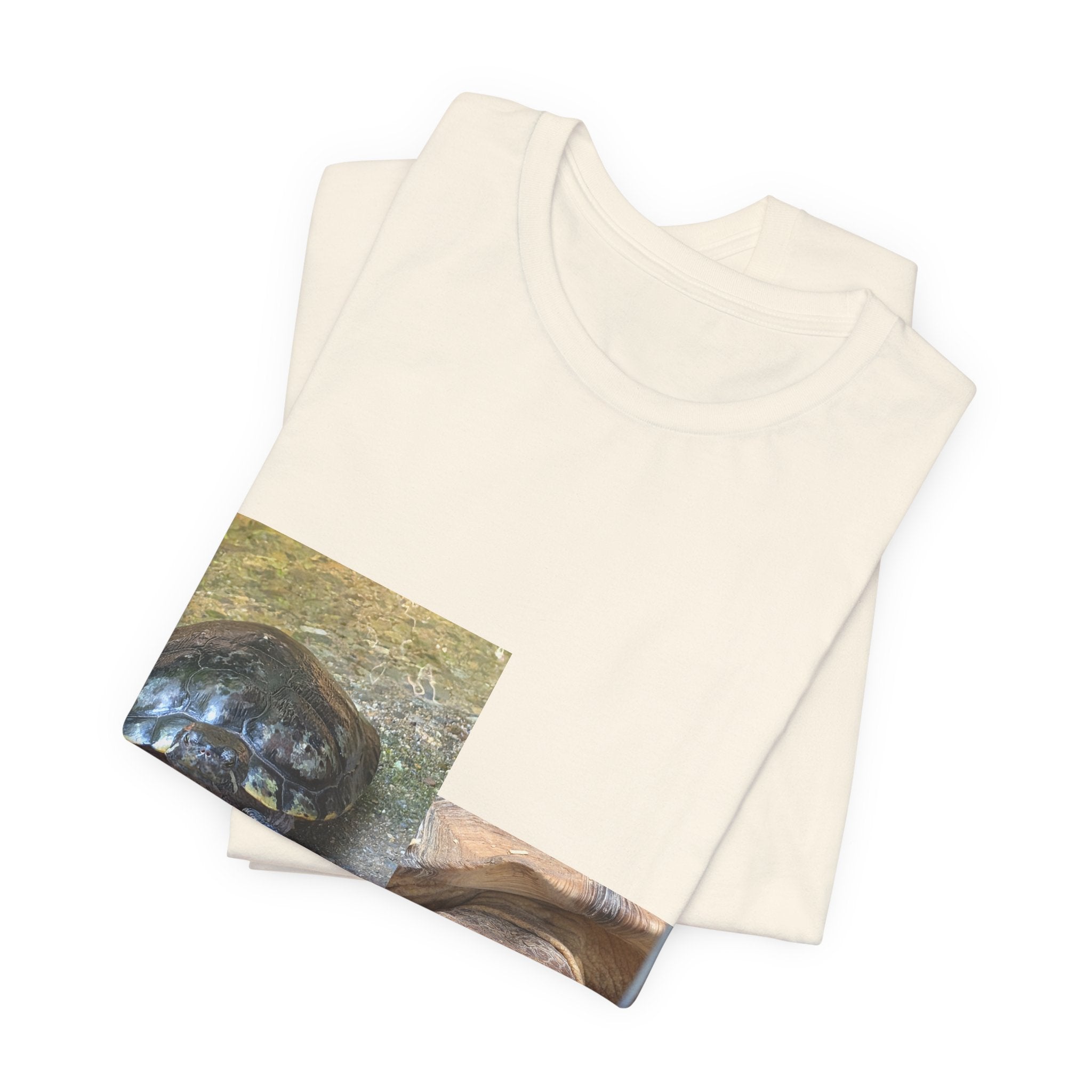 Turtle Photo Collage Tee — Cute Turtle Lovers T-Shirt