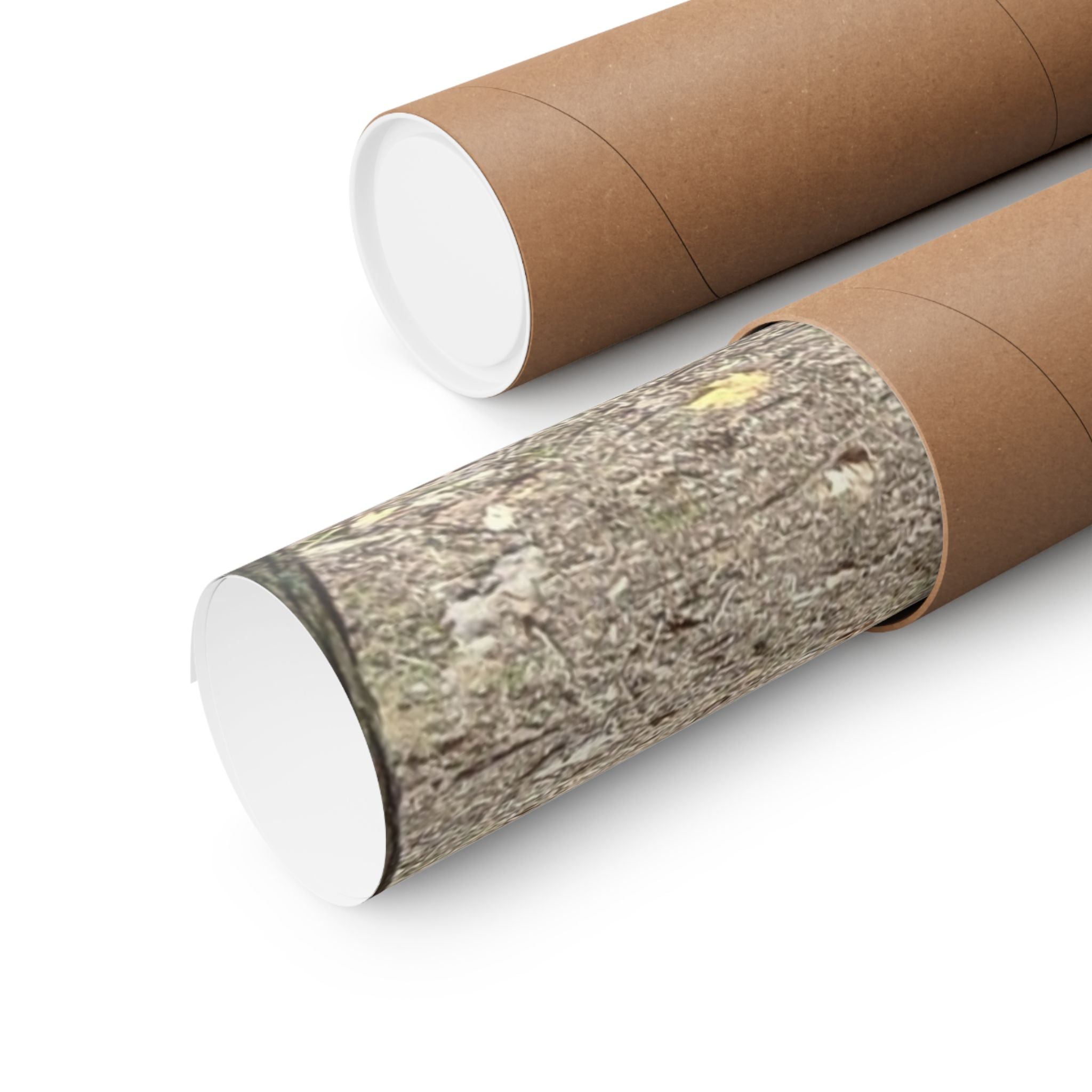 Forest Trail Matte Poster — Green Woodland Nature Photography