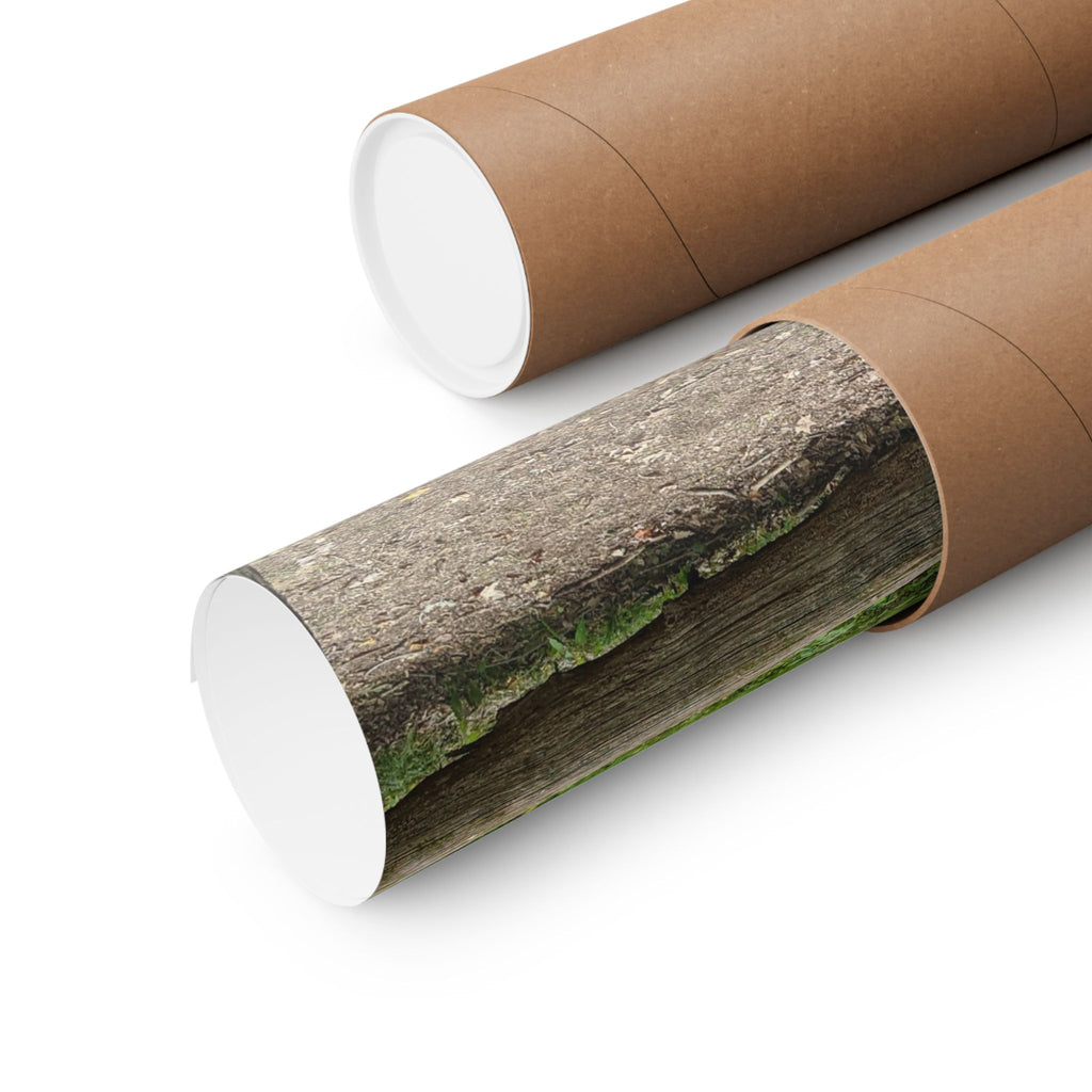 Forest Trail Matte Poster — Green Woodland Nature Photography