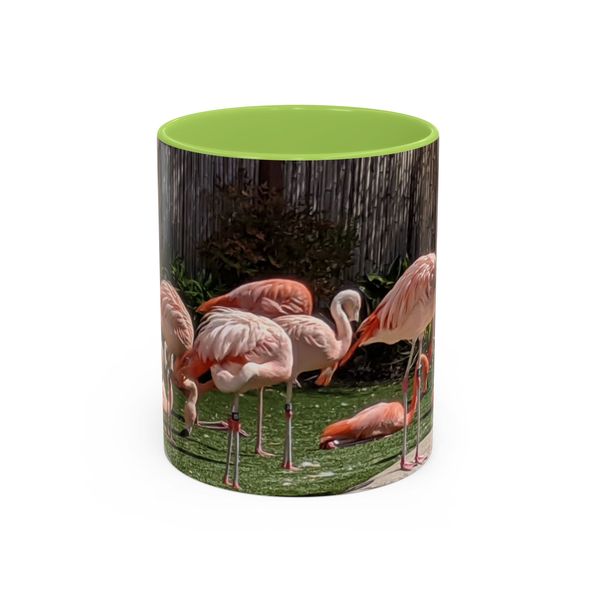 Flamingo Flock Accent Coffee Mug — Tropical Pink Bird Photo (11/15 oz)