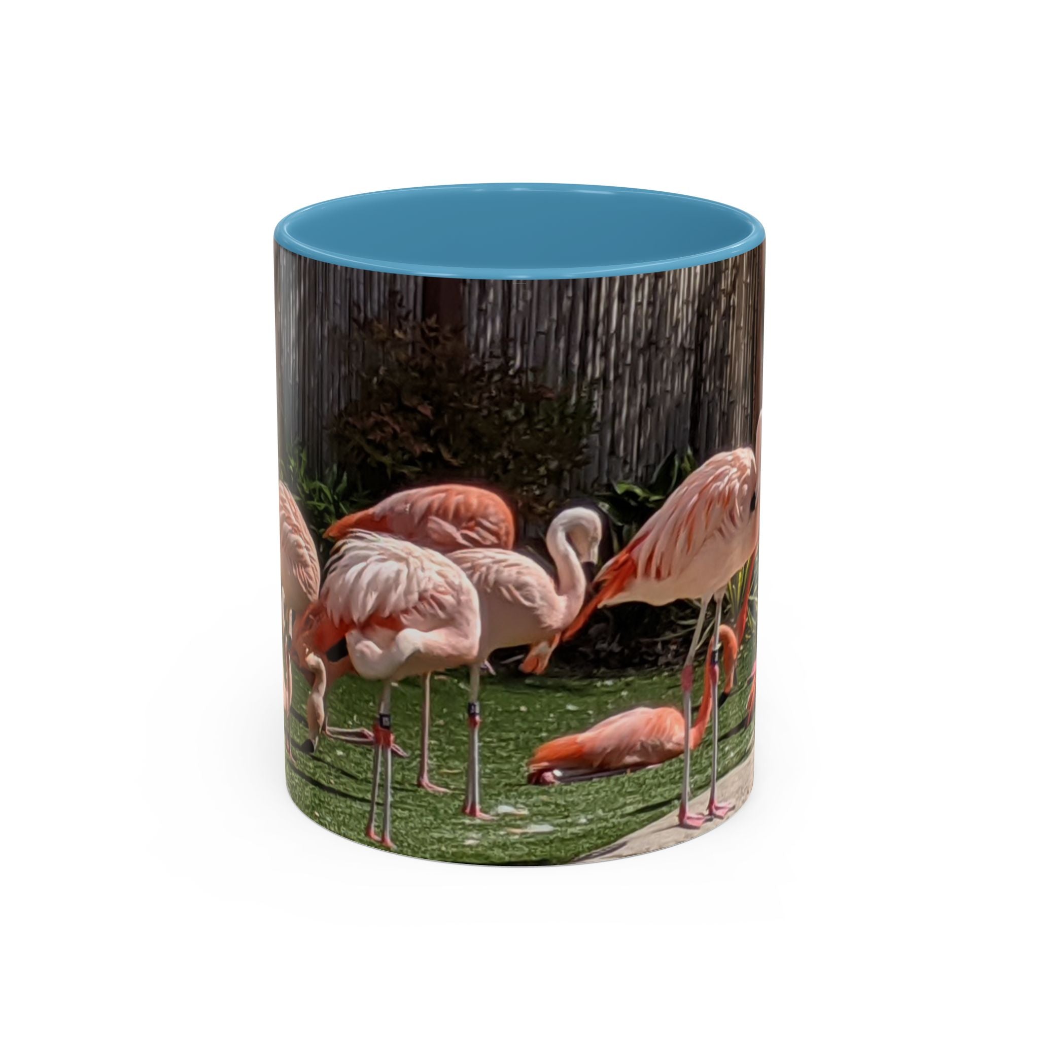 Flamingo Flock Accent Coffee Mug — Tropical Pink Bird Photo (11/15 oz)