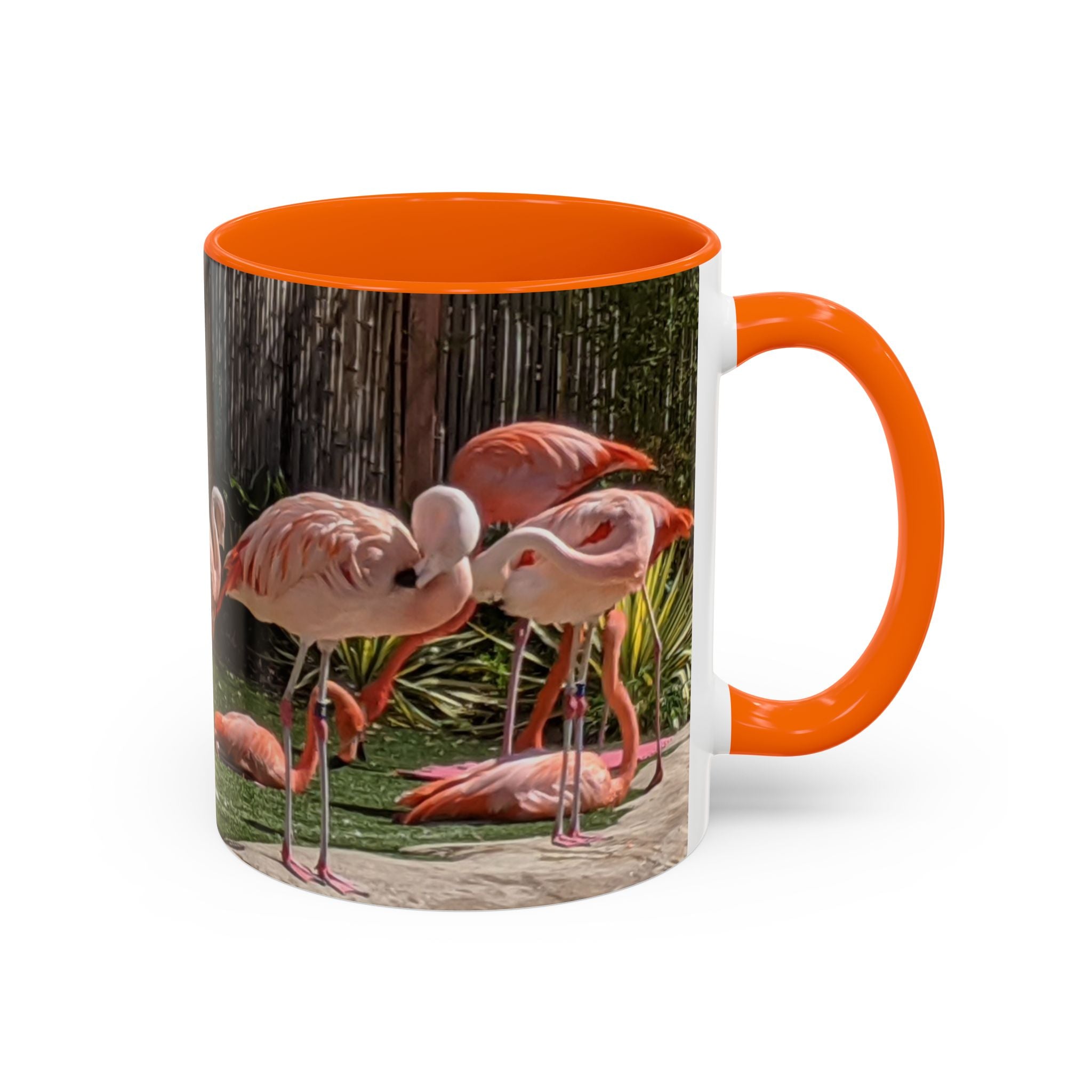 Flamingo Flock Accent Coffee Mug — Tropical Pink Bird Photo (11/15 oz)