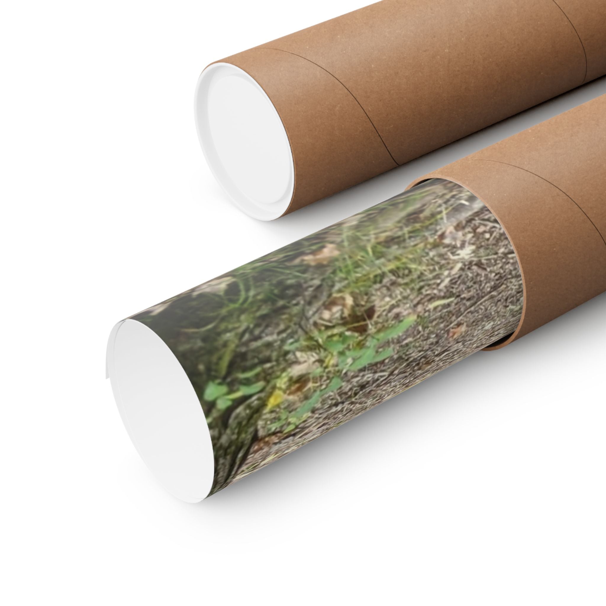 Forest Trail Matte Poster — Green Woodland Nature Photography