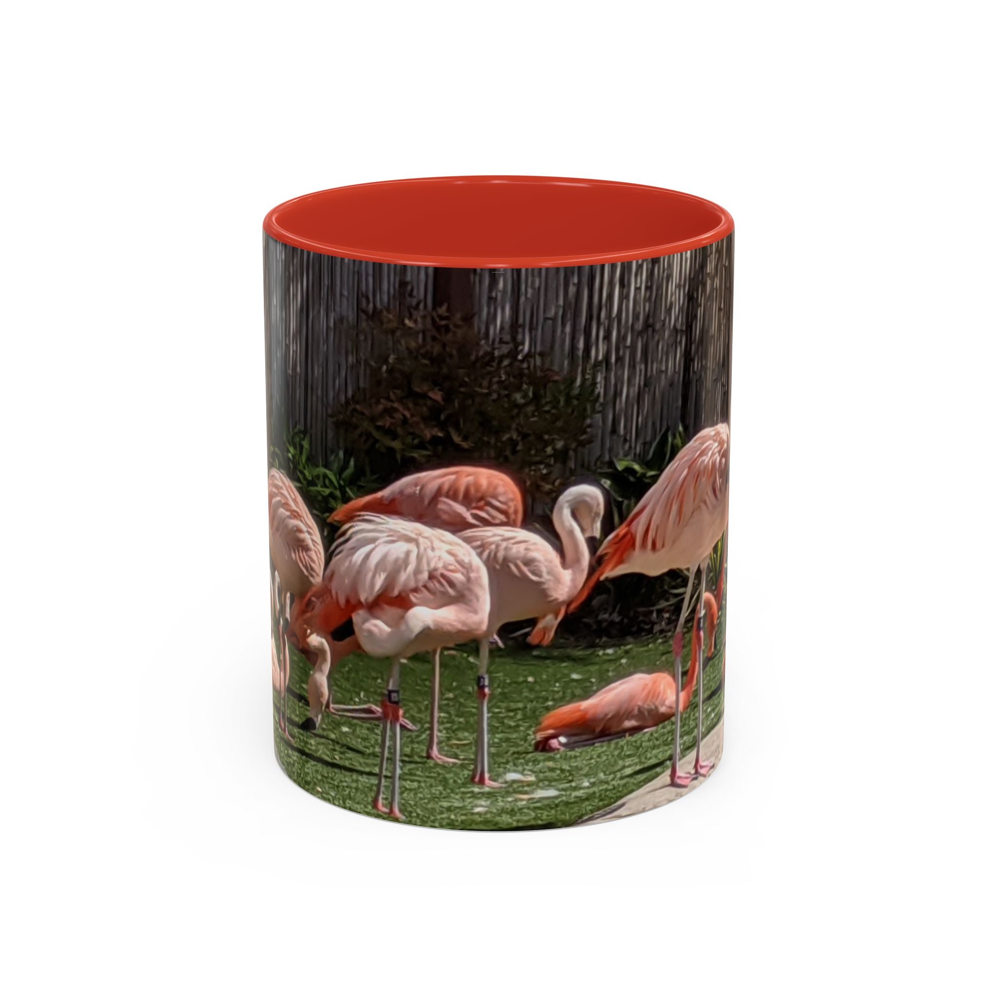 Flamingo Flock Accent Coffee Mug — Tropical Pink Bird Photo (11/15 oz)