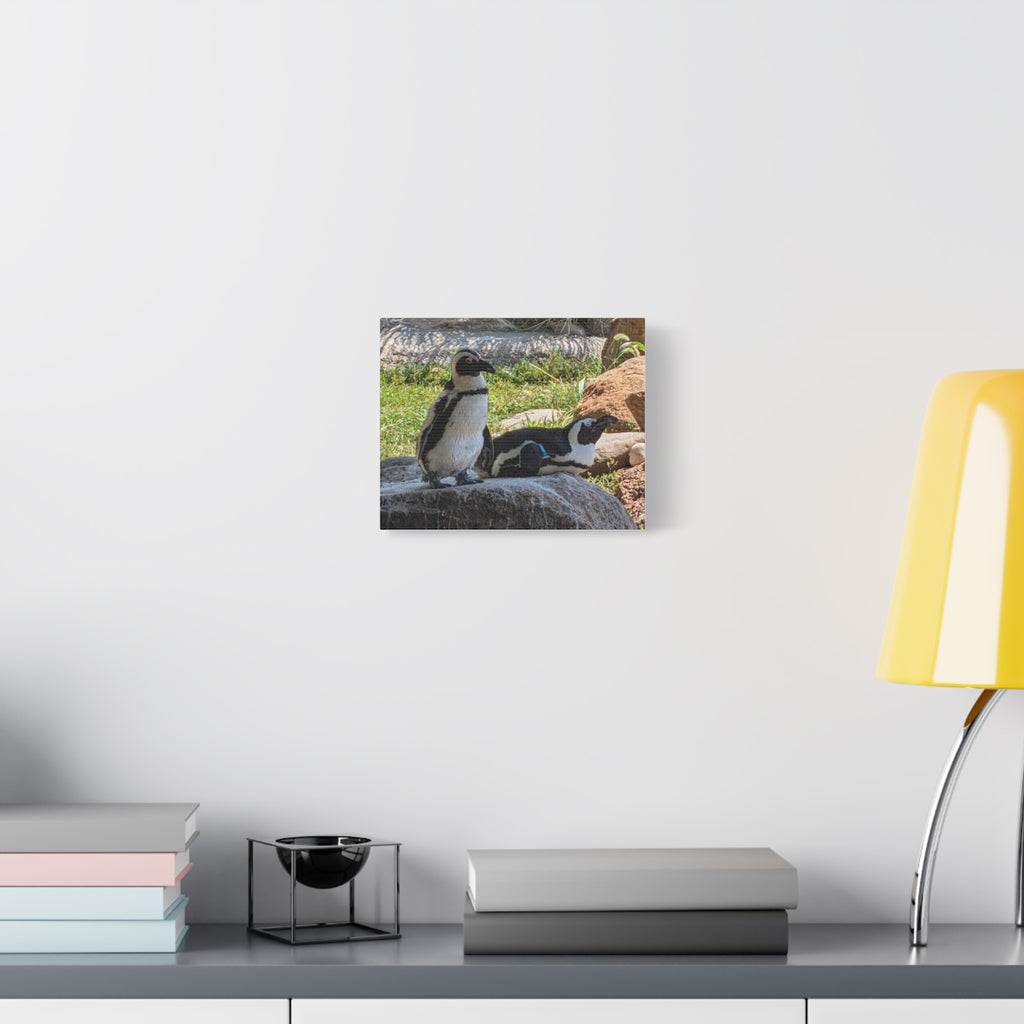 Penguin Pair Matte Canvas Print (Stretched 1.25")