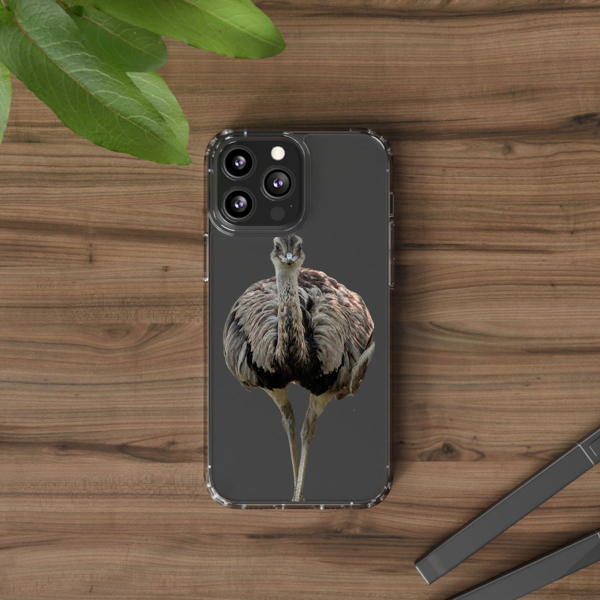 Clear Emu Bird iPhone Case — Cute Wildlife Nature Photo Design, Impact-Resistant Clear Phone Cover, Bird Lover Gift
