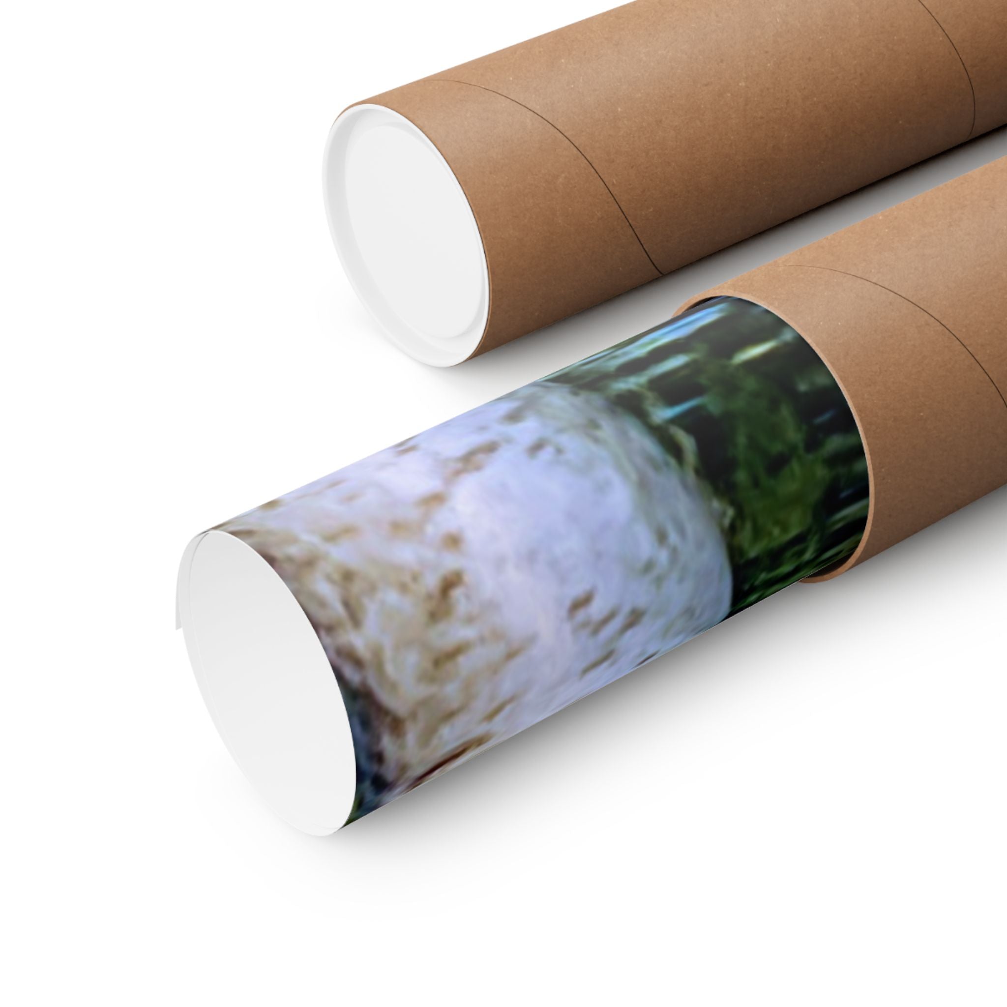 Birch Lake Reflection Matte Poster — Vertical Nature Wall Art