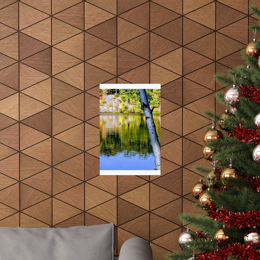 Birch Lake Reflection Matte Poster — Vertical Nature Wall Art