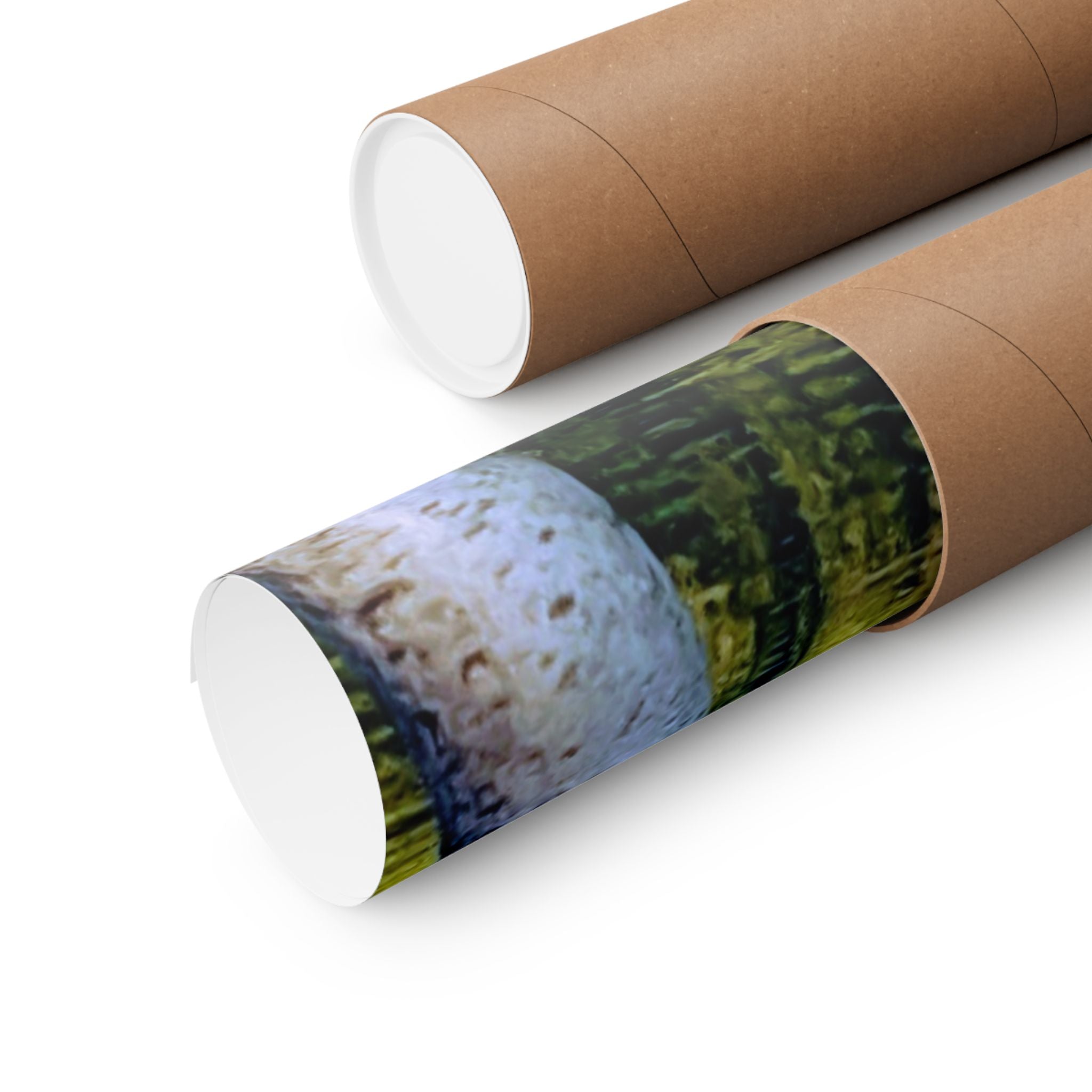 Birch Lake Reflection Matte Poster — Vertical Nature Wall Art