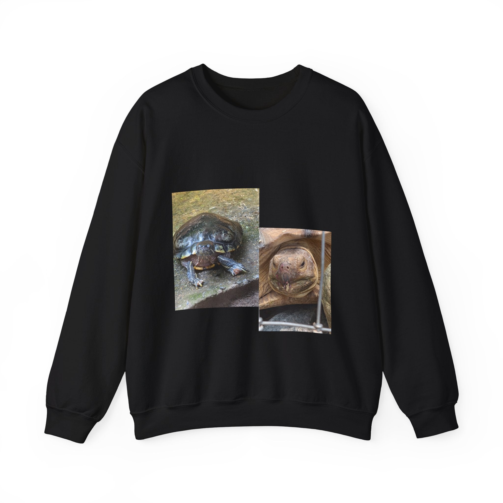 Turtle Photo Crewneck Sweatshirt – Cute Turtle Face Collage Pullover