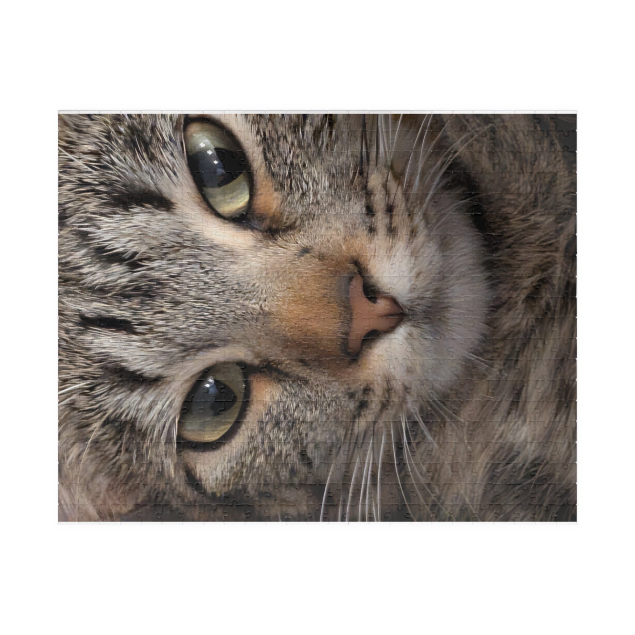 Cat Face Nature Photo Jigsaw Puzzle — Wildlife & Floral Photography Gift Set (110, 252, 520, 1014-piece)