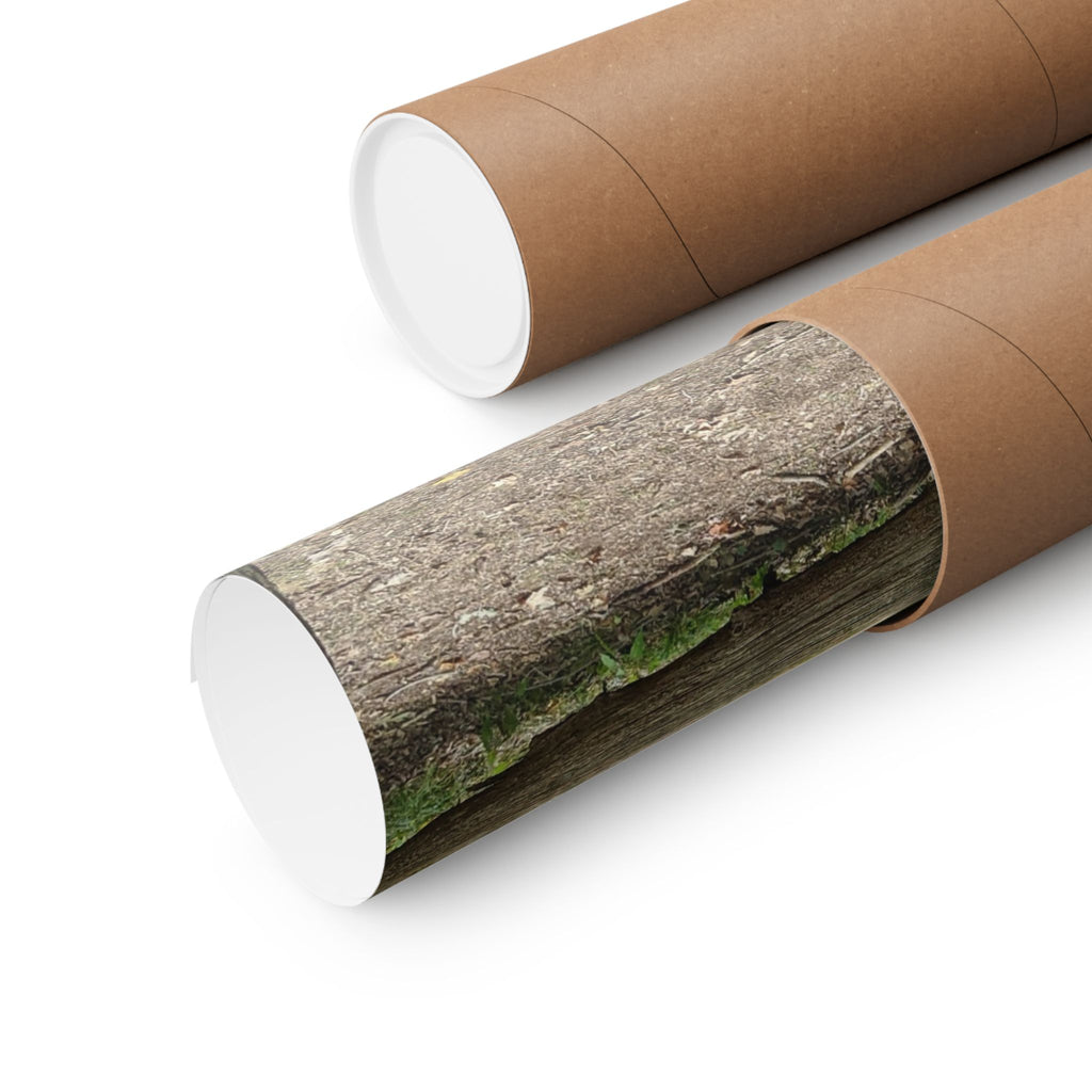 Forest Trail Matte Poster — Green Woodland Nature Photography