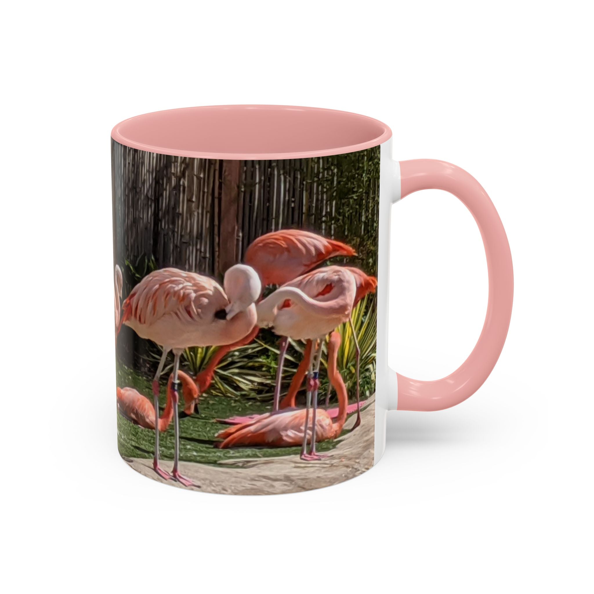 Flamingo Flock Accent Coffee Mug — Tropical Pink Bird Photo (11/15 oz)