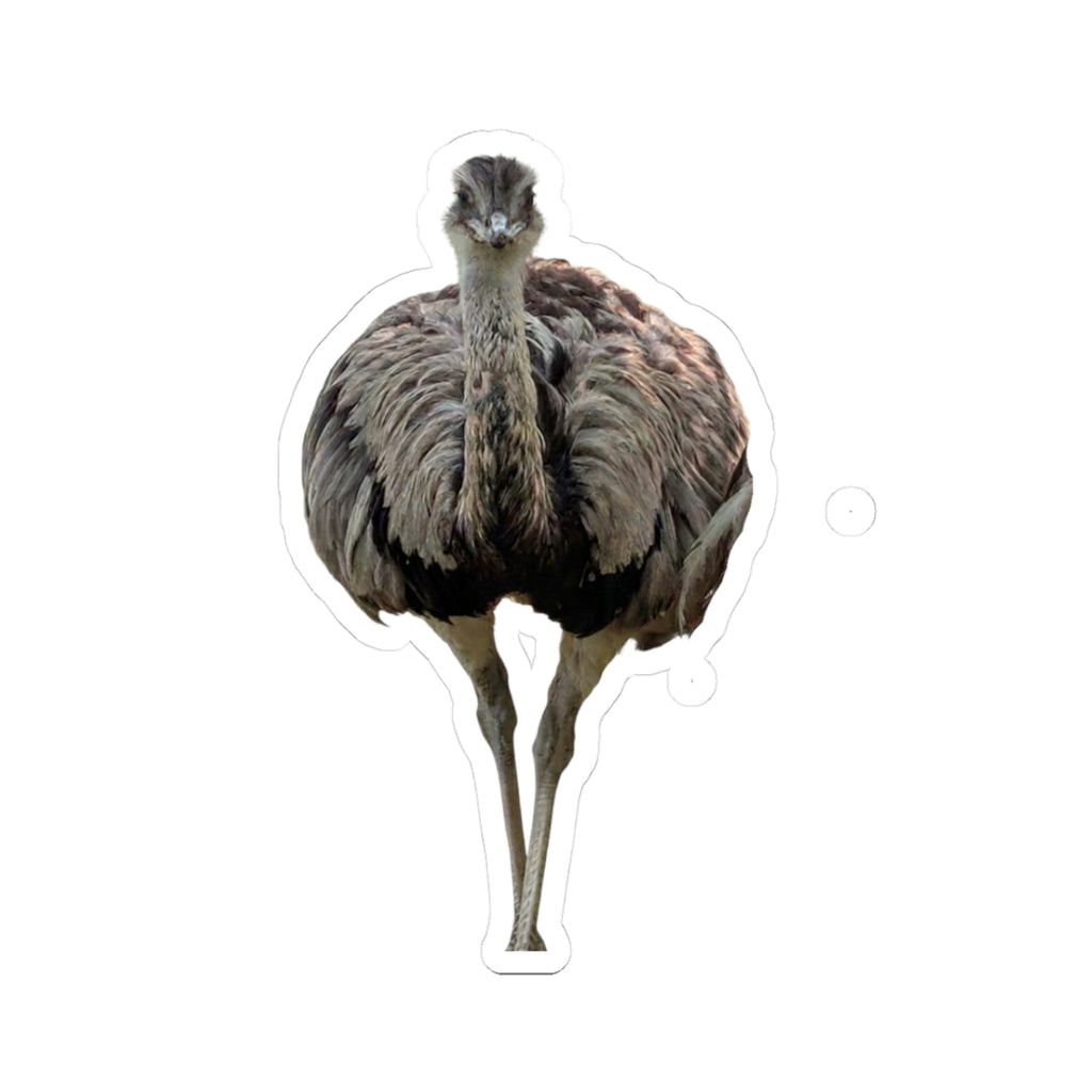 Ostrich Kiss-Cut Sticker — Realistic Bird Laptop Decal