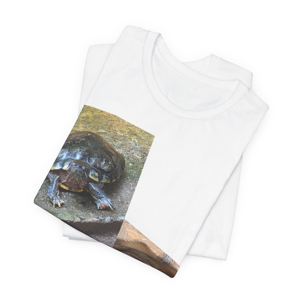 Turtle Photo Collage T-Shirt — Cute Turtle Face Wildlife Graphic Tee, Nature-Inspired Shirt, Turtle Lover Gift