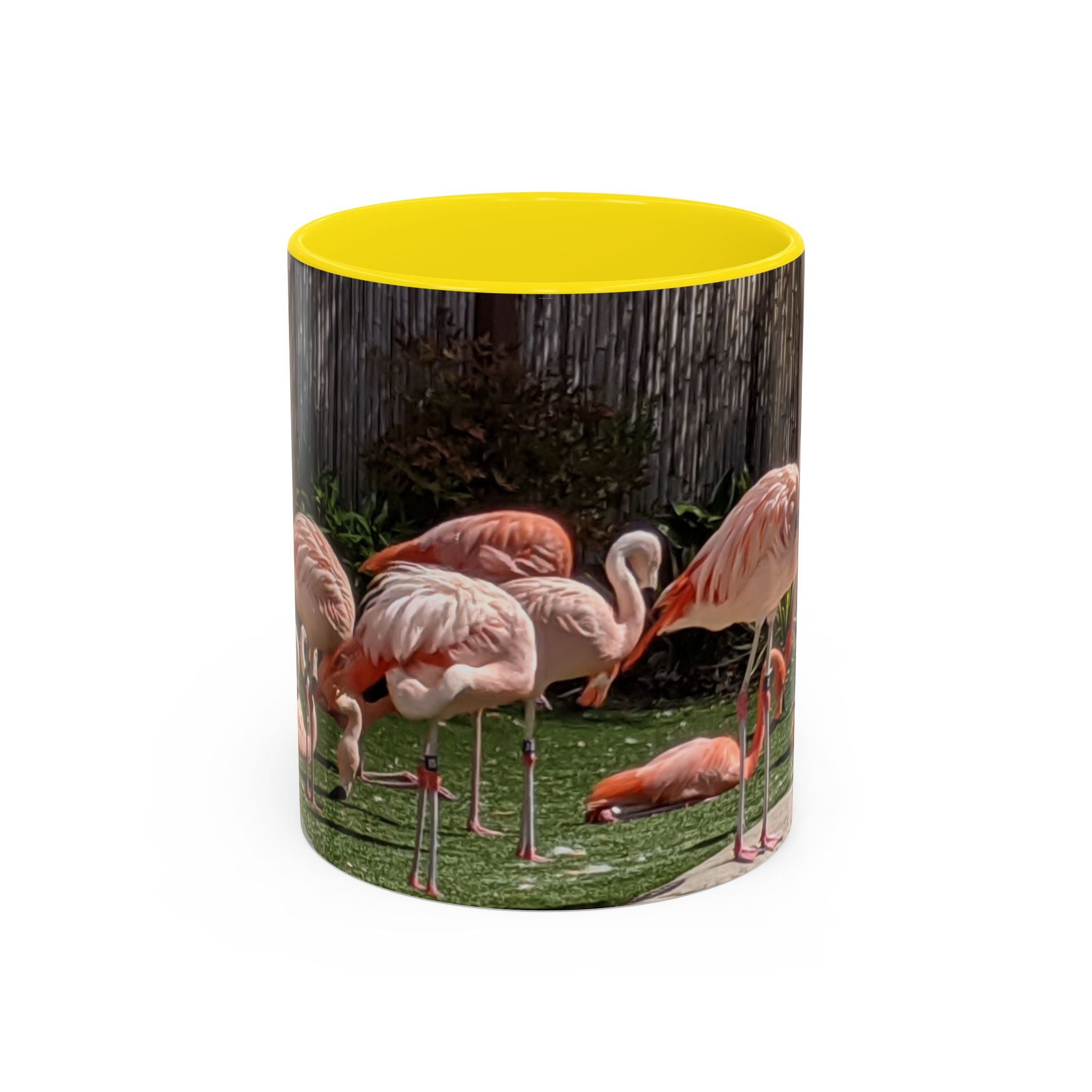 Flamingo Flock Accent Coffee Mug — Tropical Pink Bird Photo (11/15 oz)