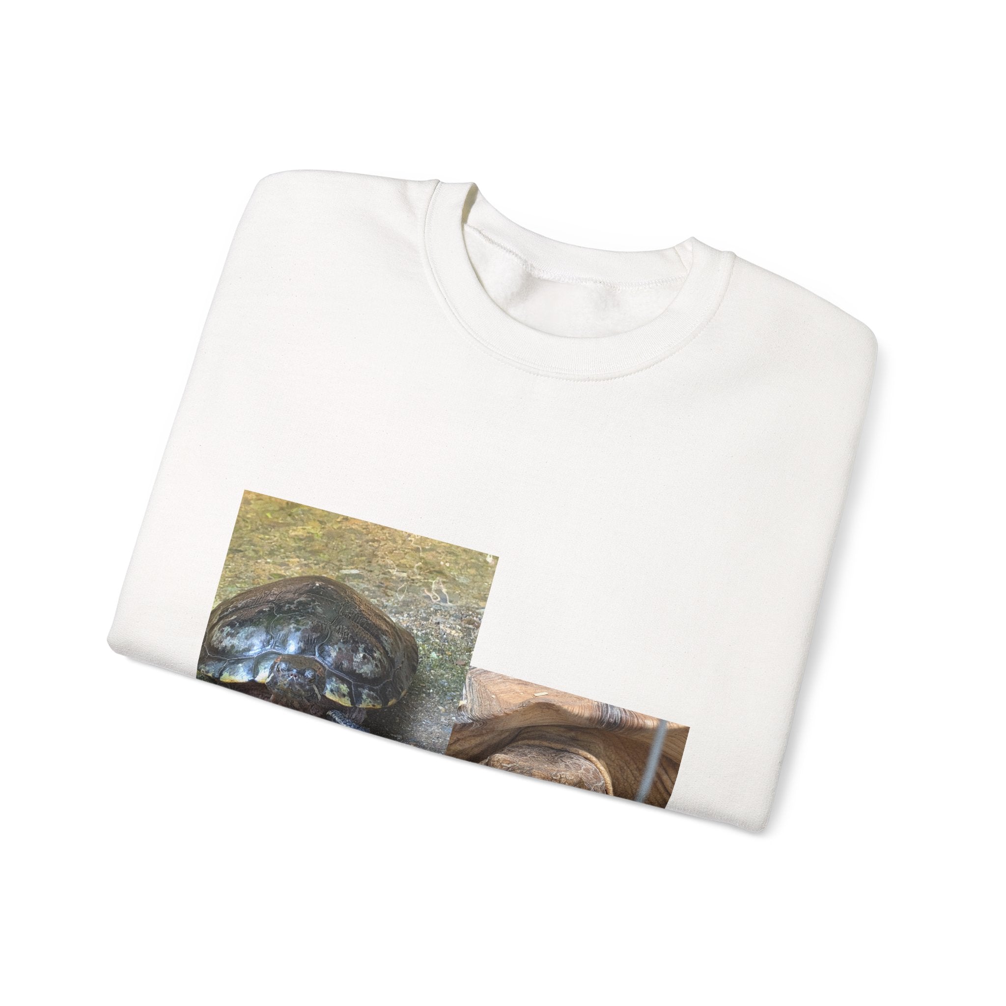 Turtle Photo Crewneck Sweatshirt – Cute Turtle Face Collage Pullover