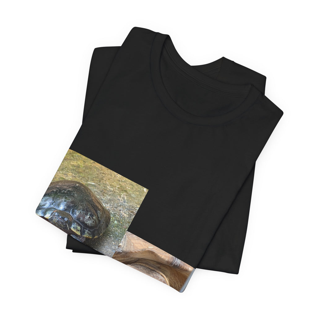 Turtle Photo Collage Tee — Cute Turtle Lovers T-Shirt