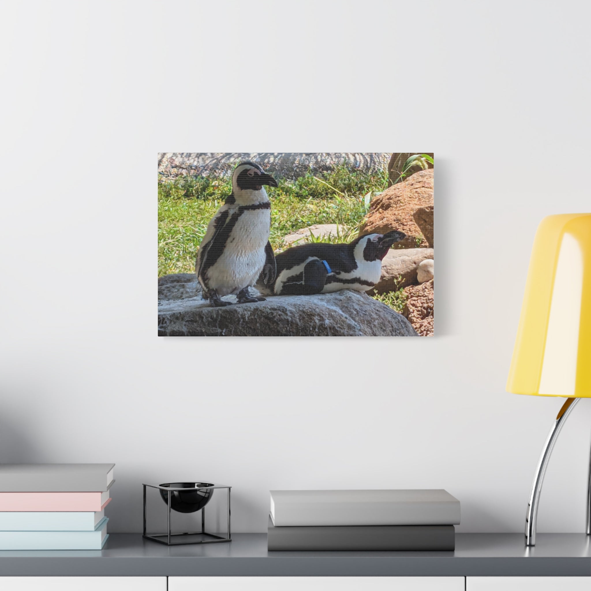 Penguin Pair Matte Canvas Print (Stretched 1.25")
