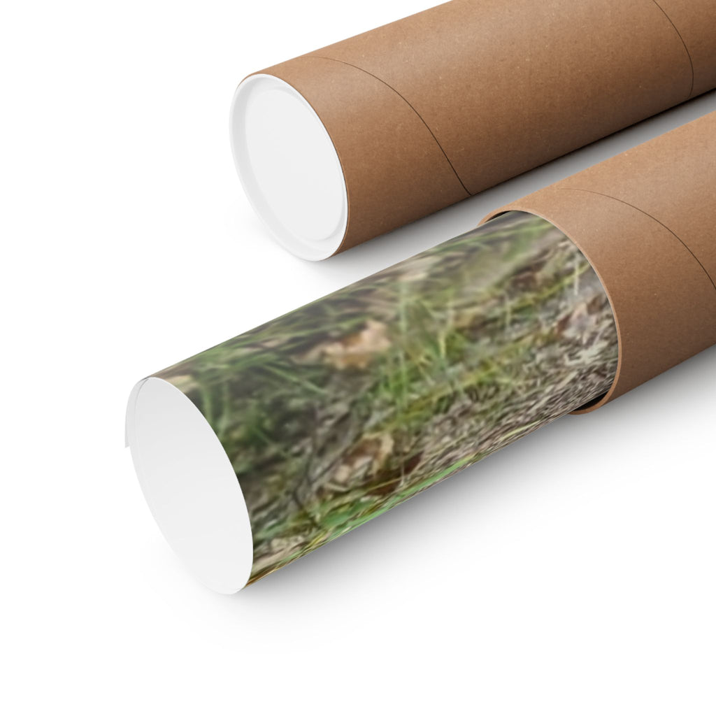 Forest Trail Matte Poster — Green Woodland Nature Photography Wall Art, Hiking Trail Print, 46 Sizes