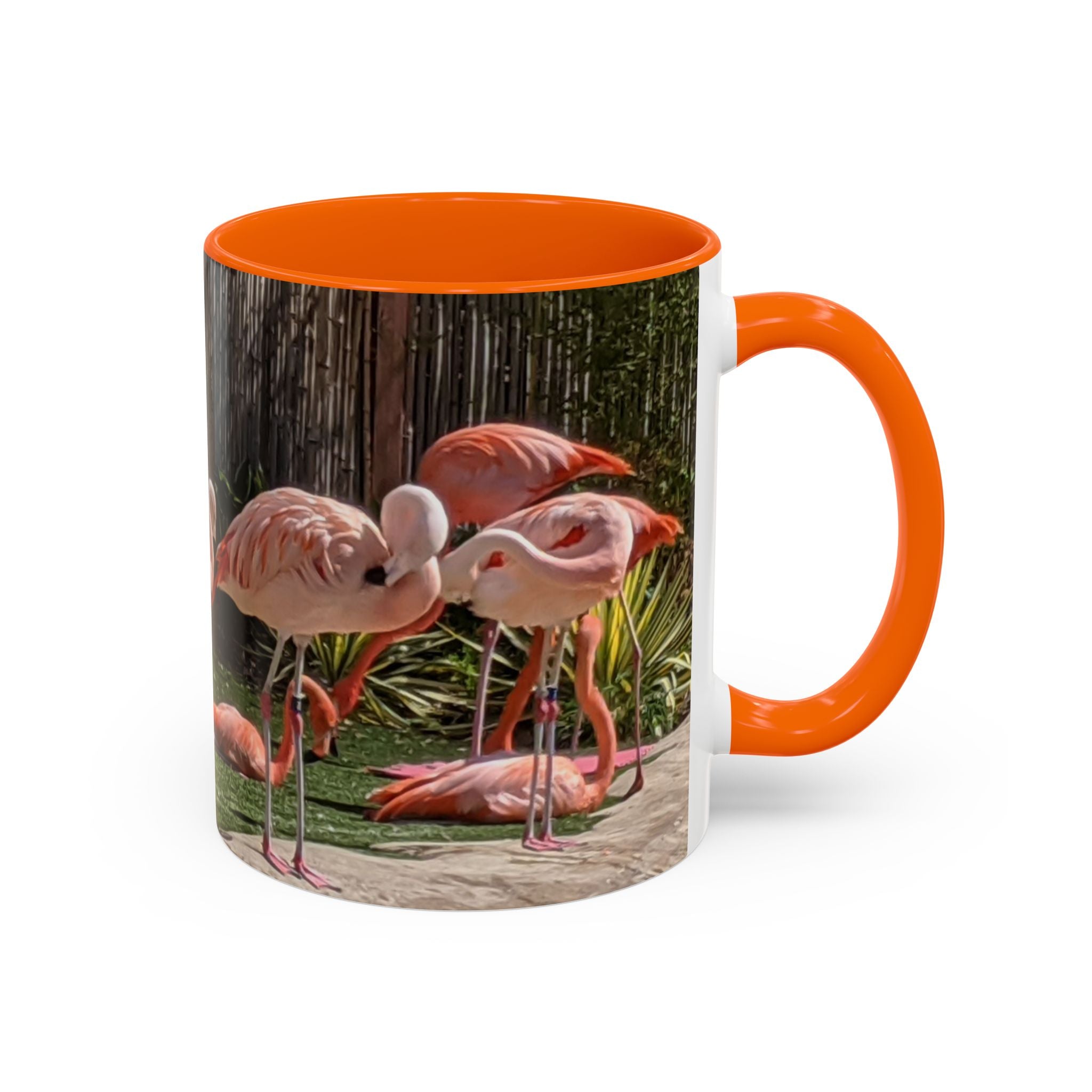 Flamingo Coffee Mug — Pink Tropical Bird Photo Print, Ceramic Tea Cup, Nature Gift, 11oz or 15oz