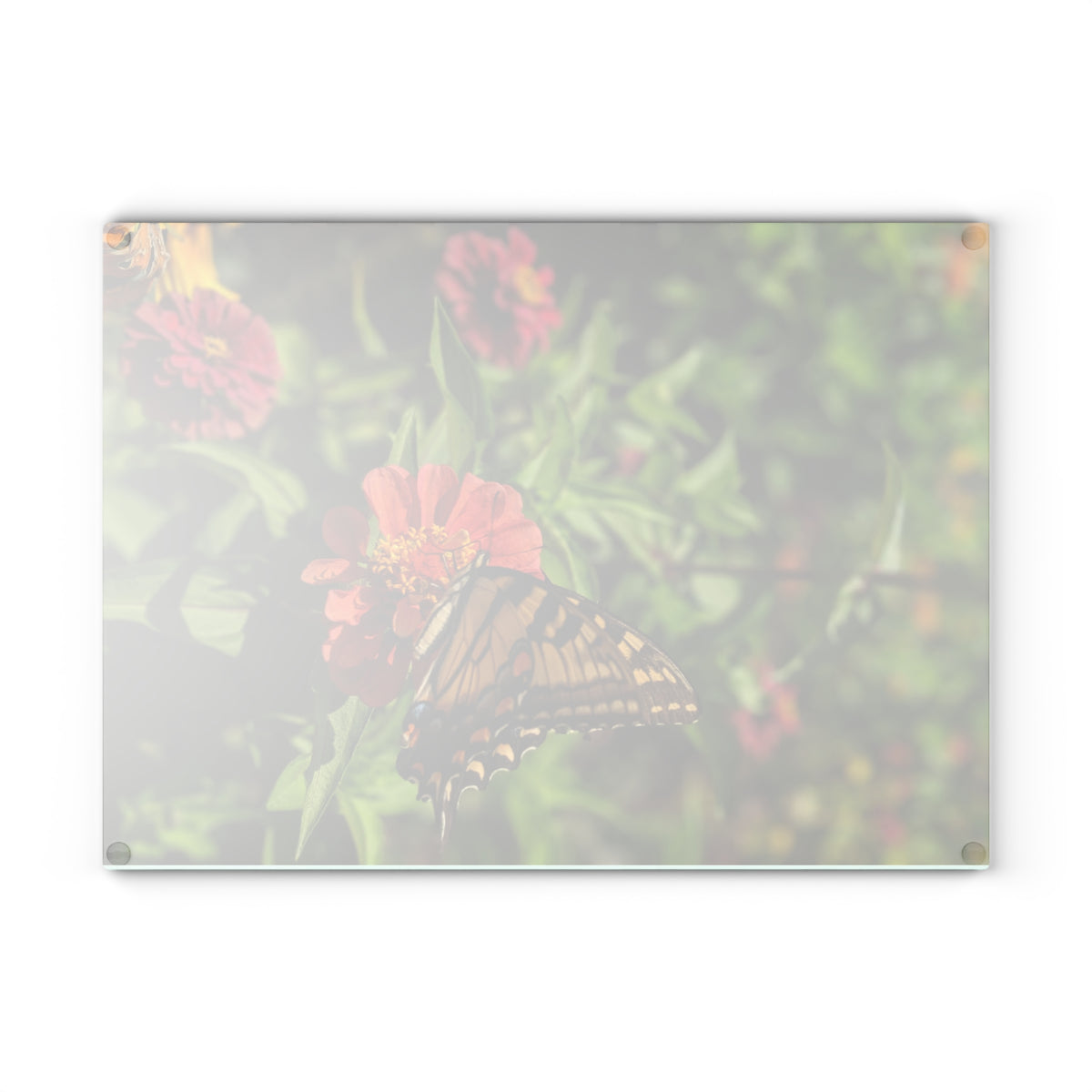 Floral Butterfly Glass Cutting Board — Nature Photography Kitchen Decor, Tempered Glass Chopping Board, Garden Gift