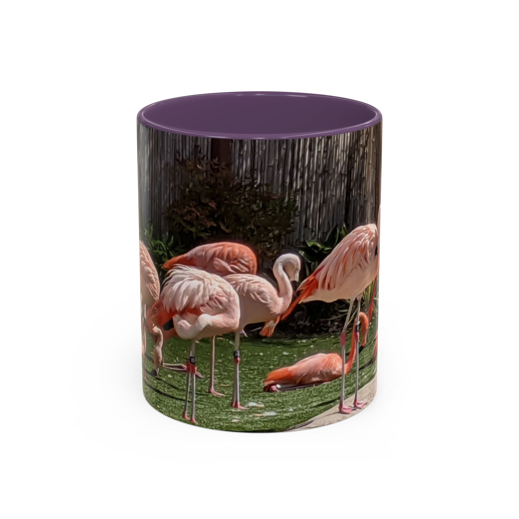 Flamingo Flock Accent Coffee Mug — Tropical Pink Bird Photo (11/15 oz)